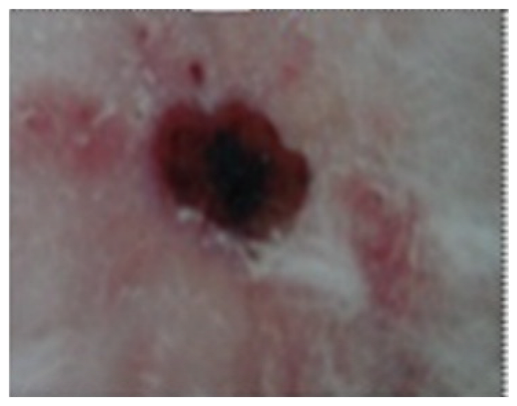 Processes 11 01692 i004