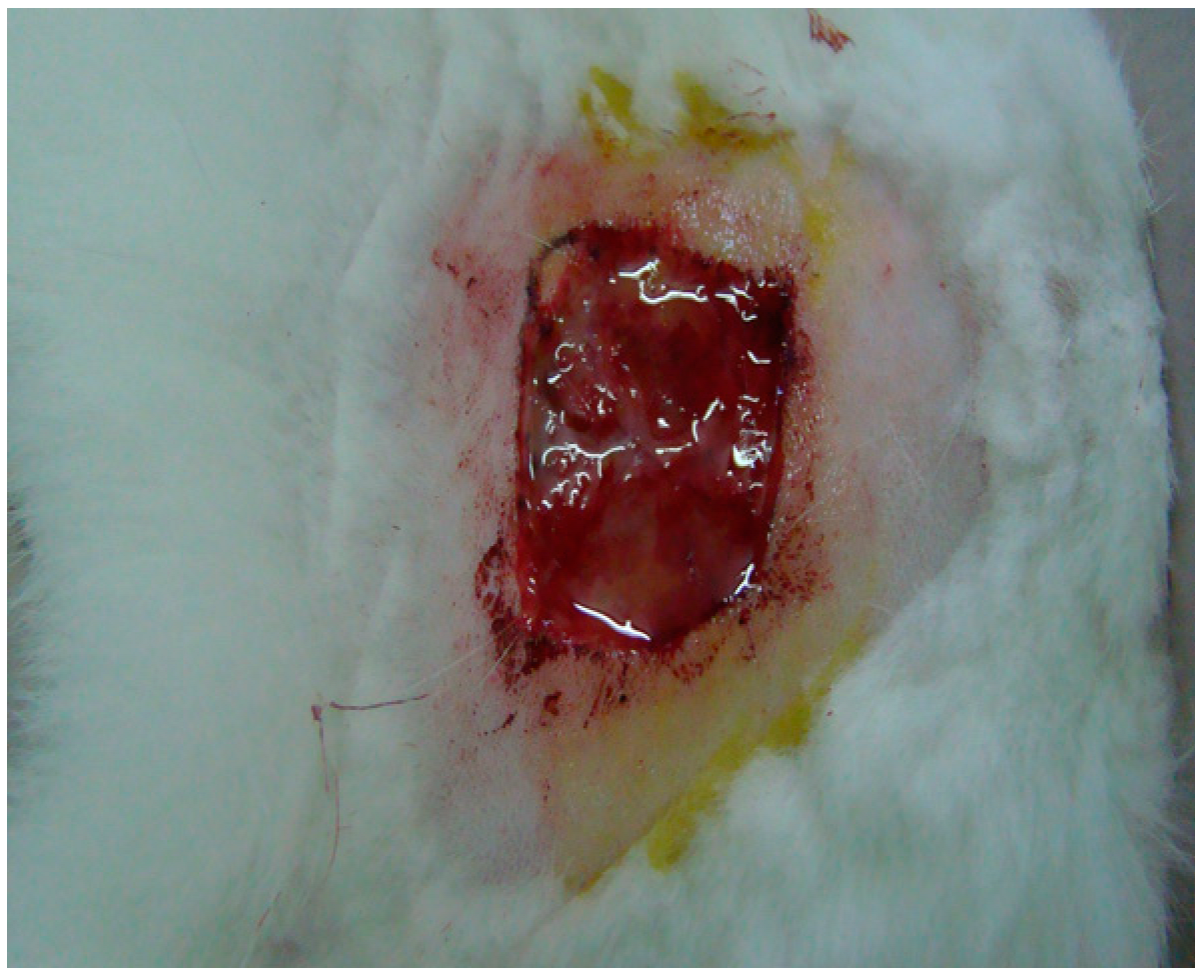 Processes 11 01692 i007