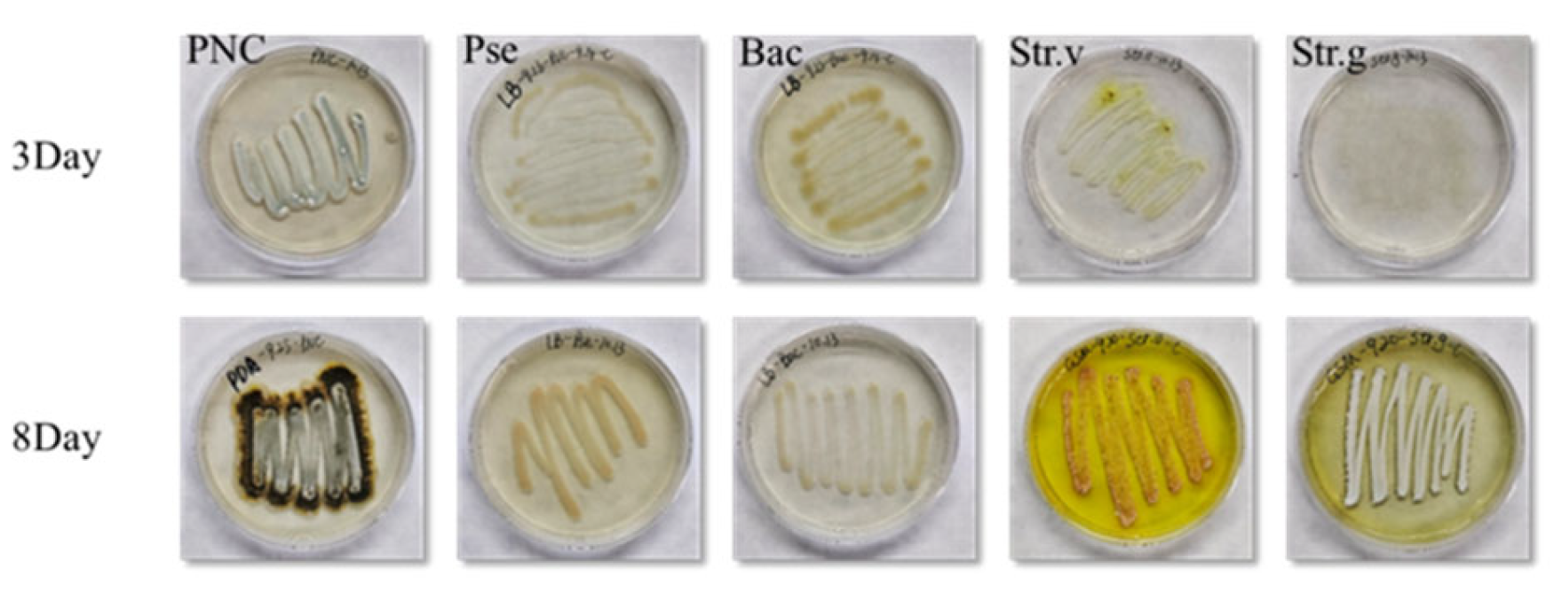 Processes 11 01710 g001