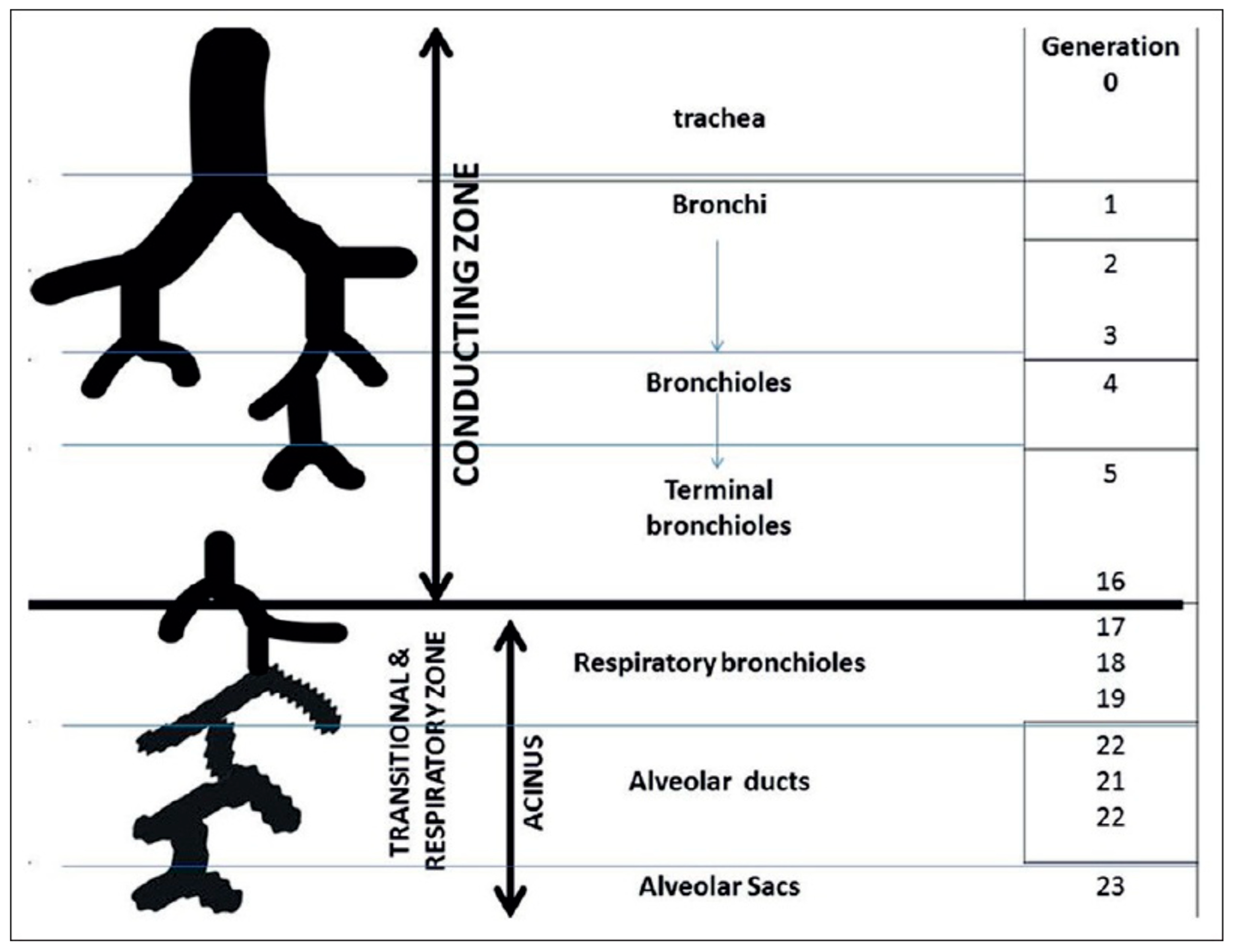 Processes 11 01788 g001