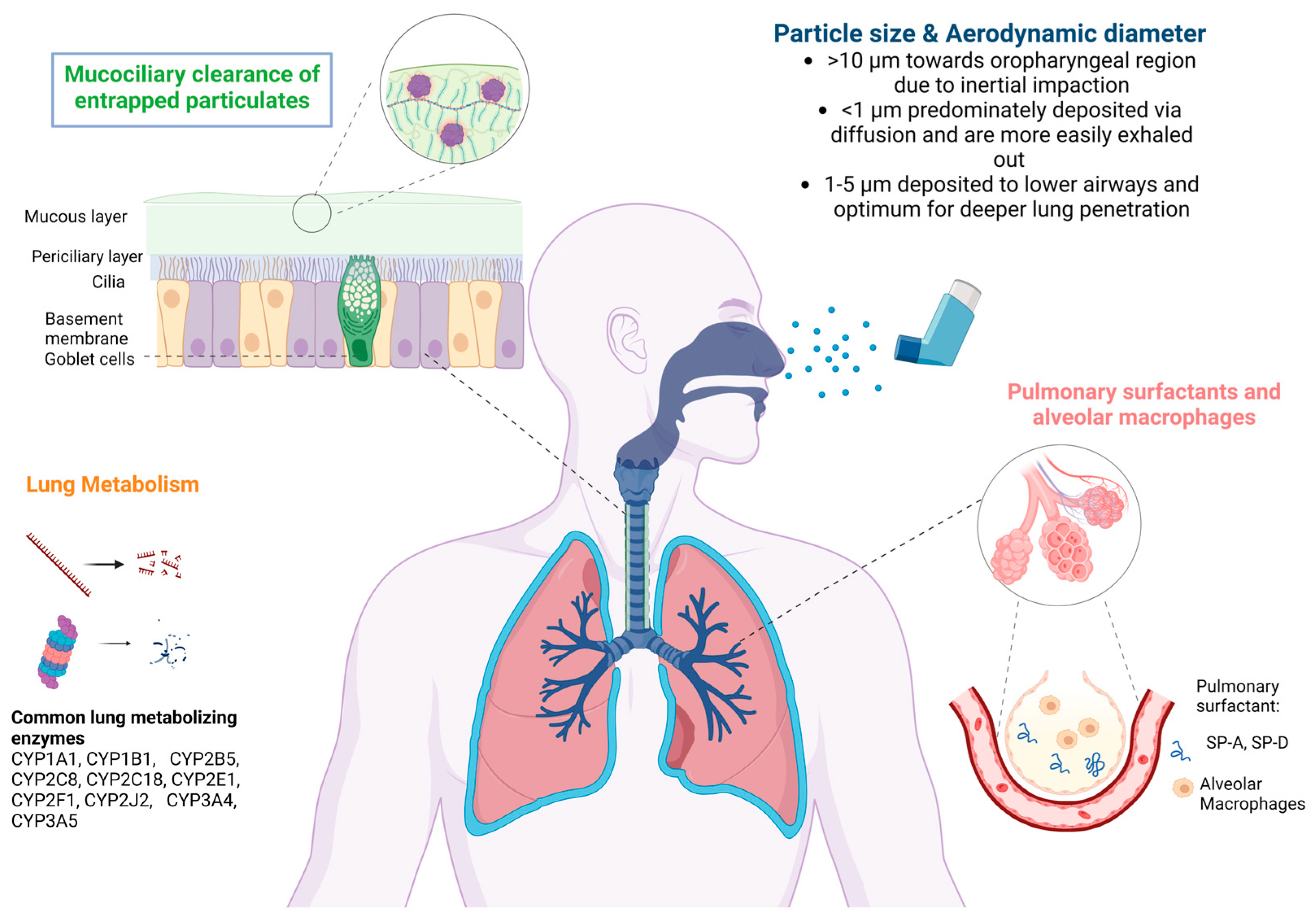 Processes 11 01788 g002