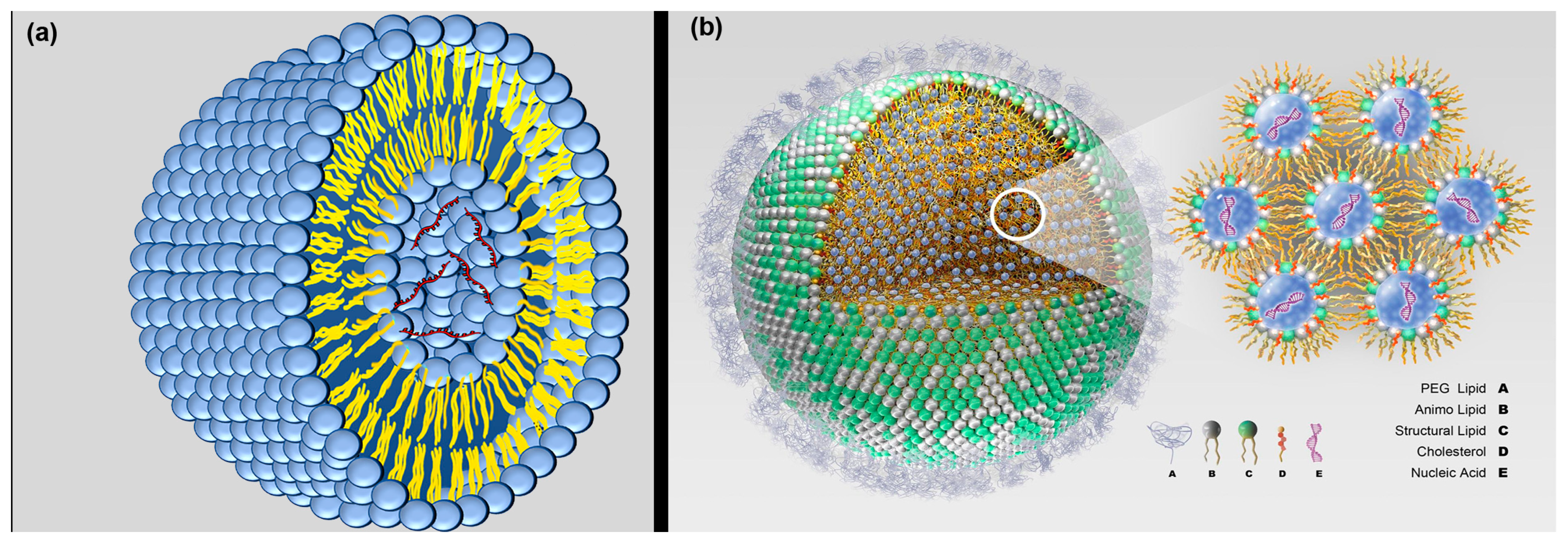 Processes 11 01788 g004