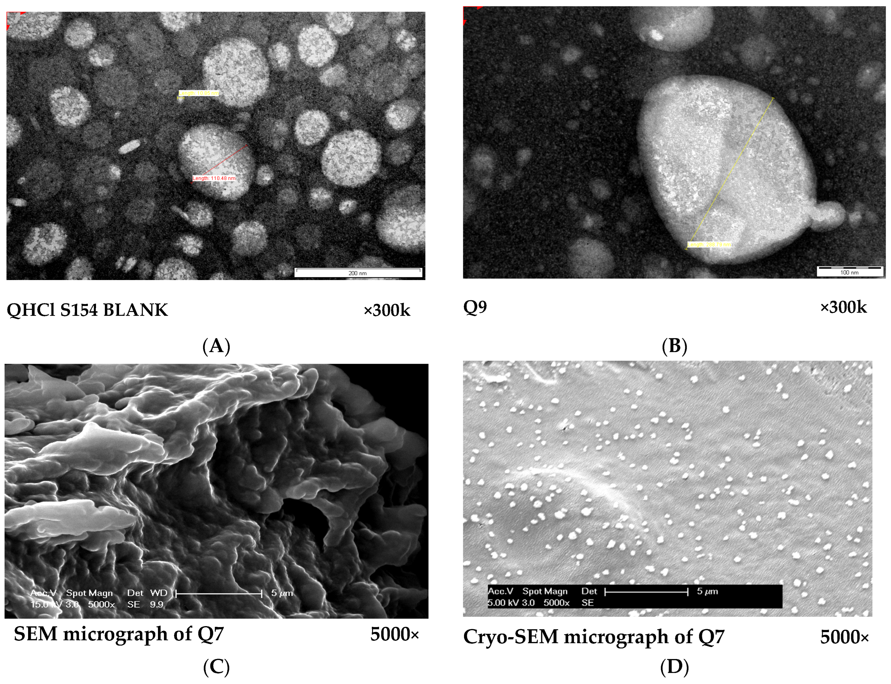 Processes 11 01811 g004