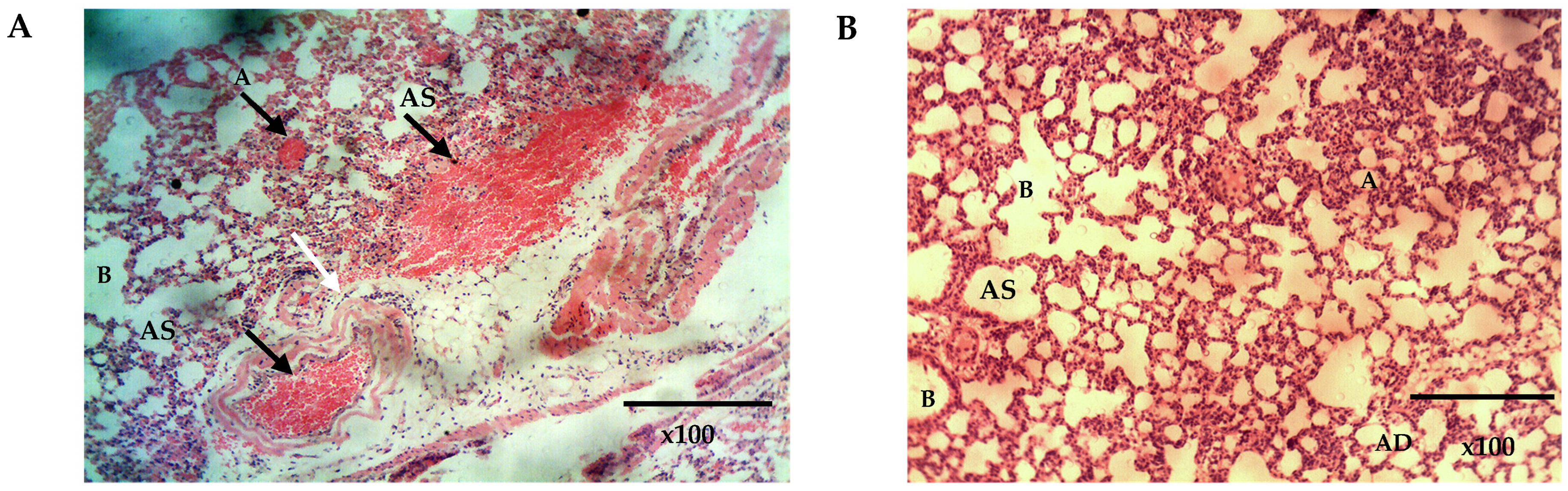 Processes 11 01811 g010