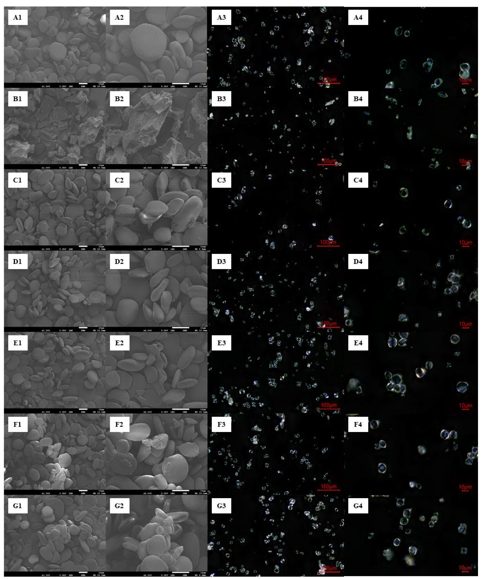 Processes 11 01828 g004