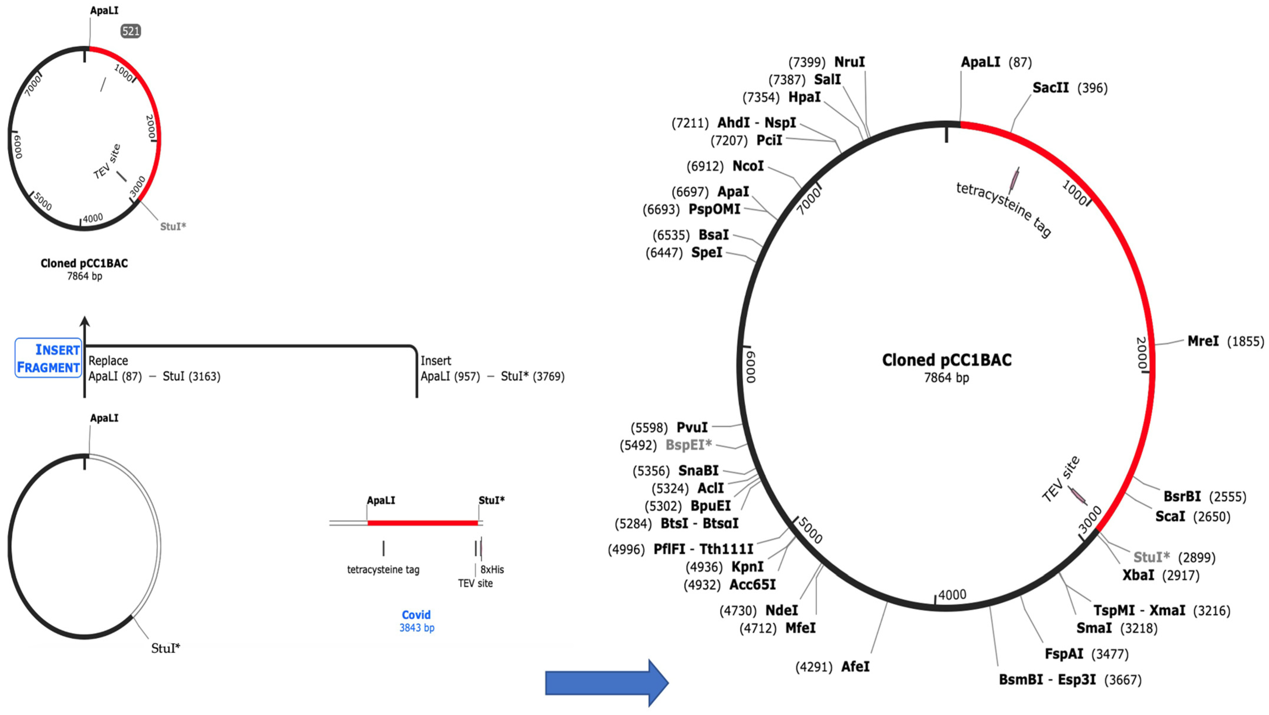 Processes 11 01829 g006 Processes 11 01829 g006
