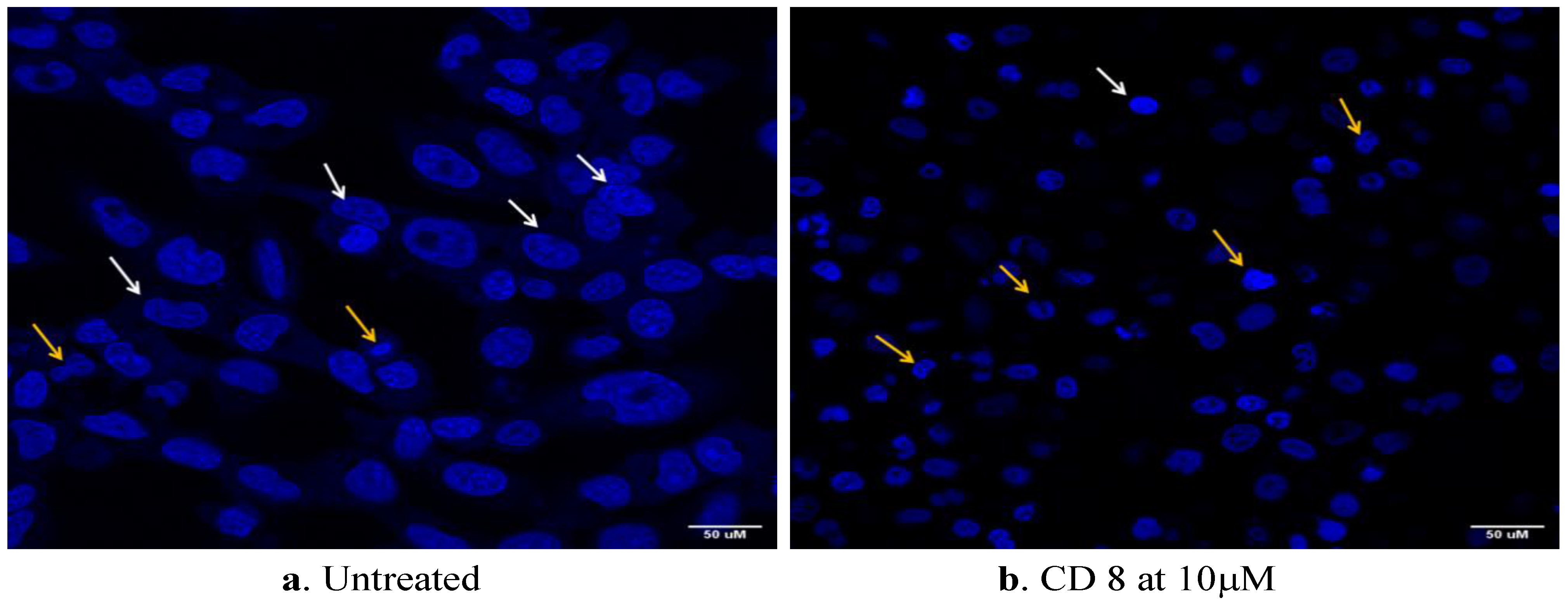 Processes 11 01889 g009