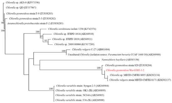 Processes 11 01892 g0a1
