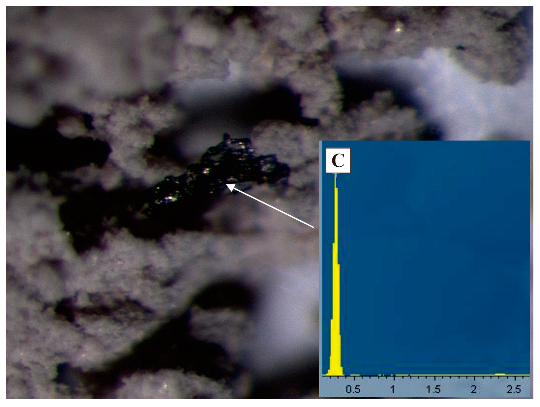 Processes 11 01908 g005 Processes 11 01908 g005