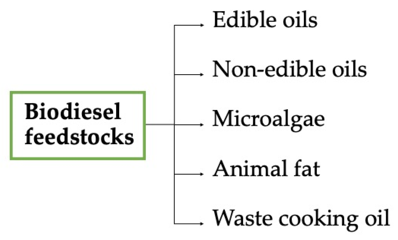 Processes 11 01952 g003