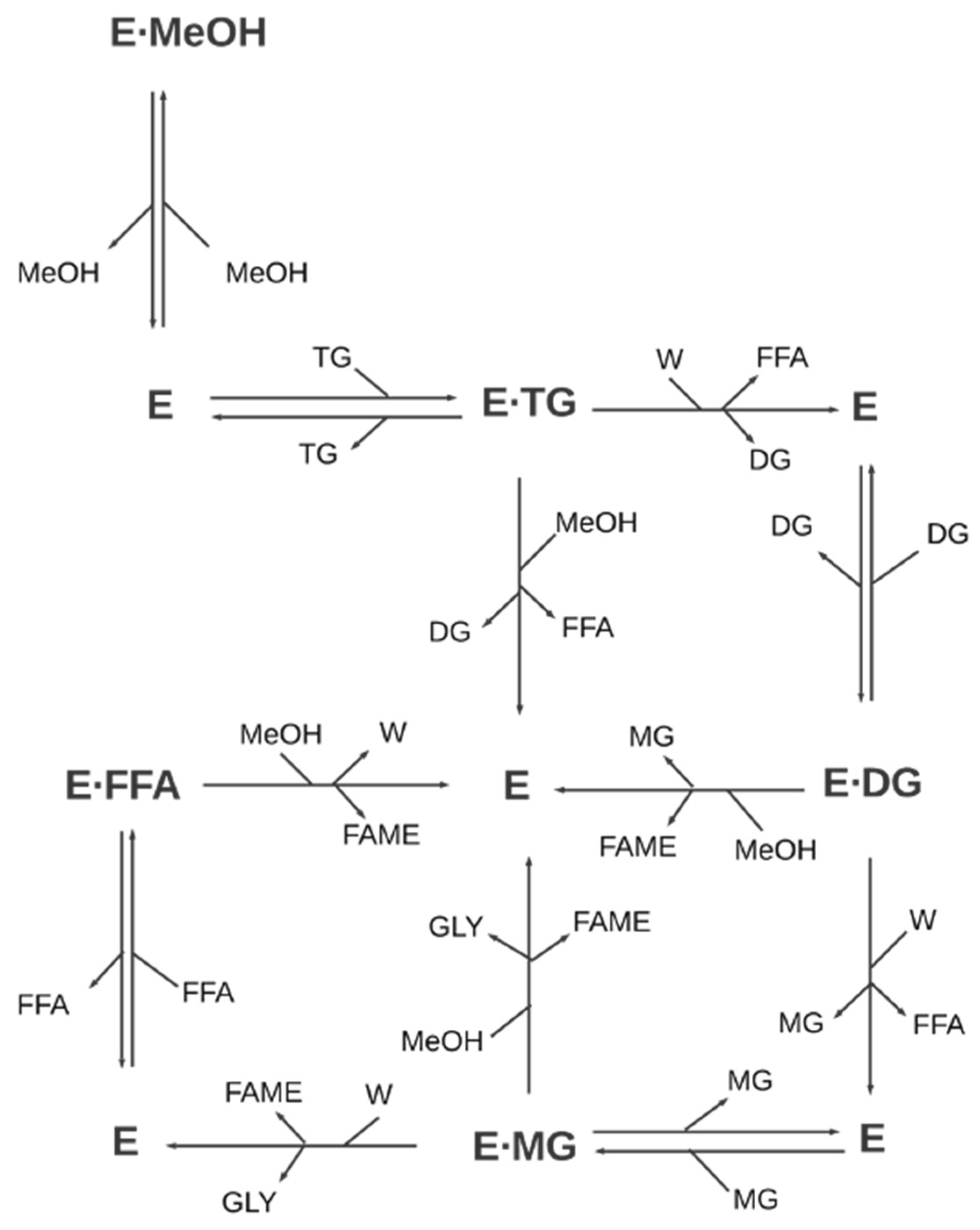 Processes 11 01952 sch005