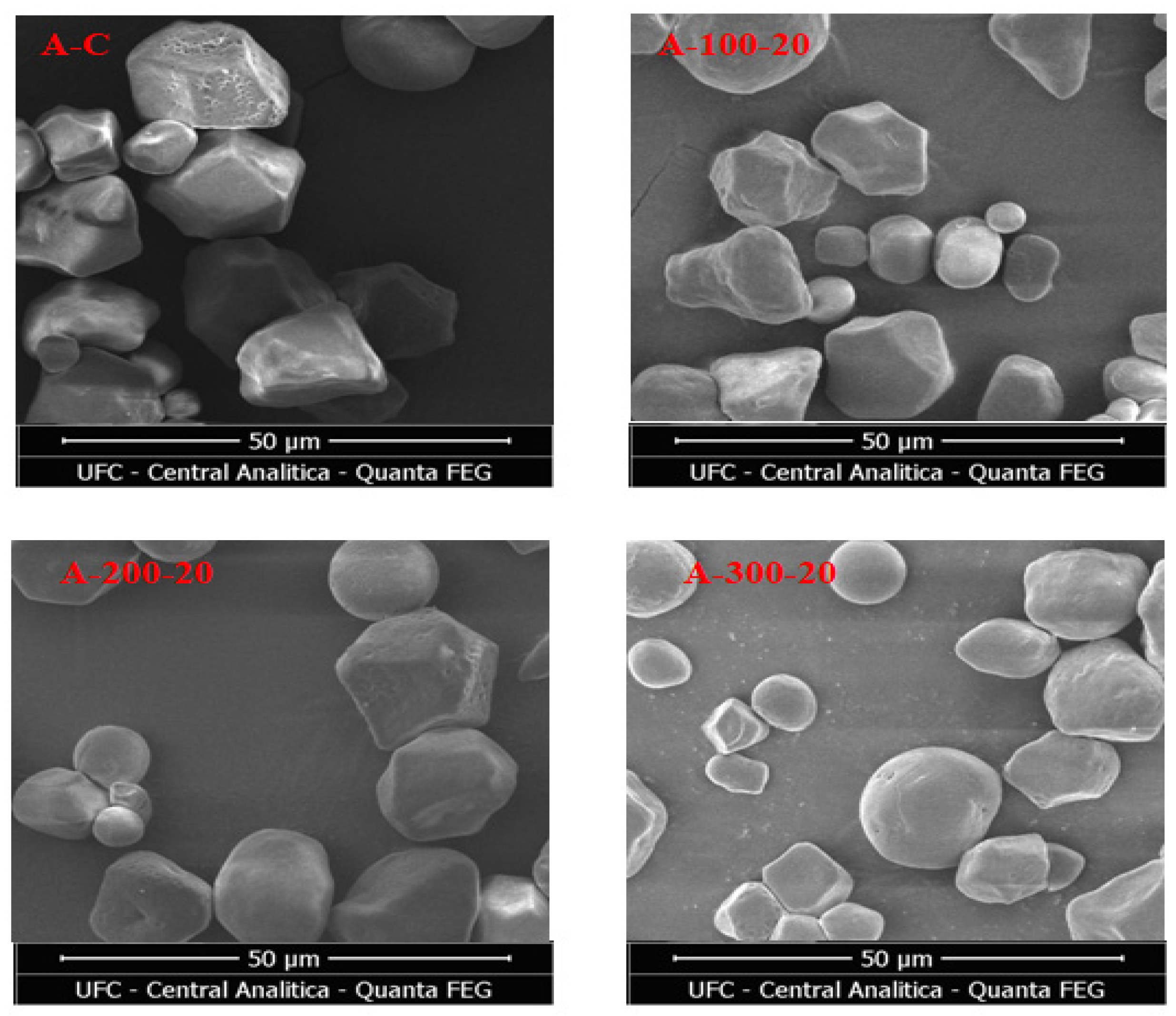 Processes 11 01966 g002