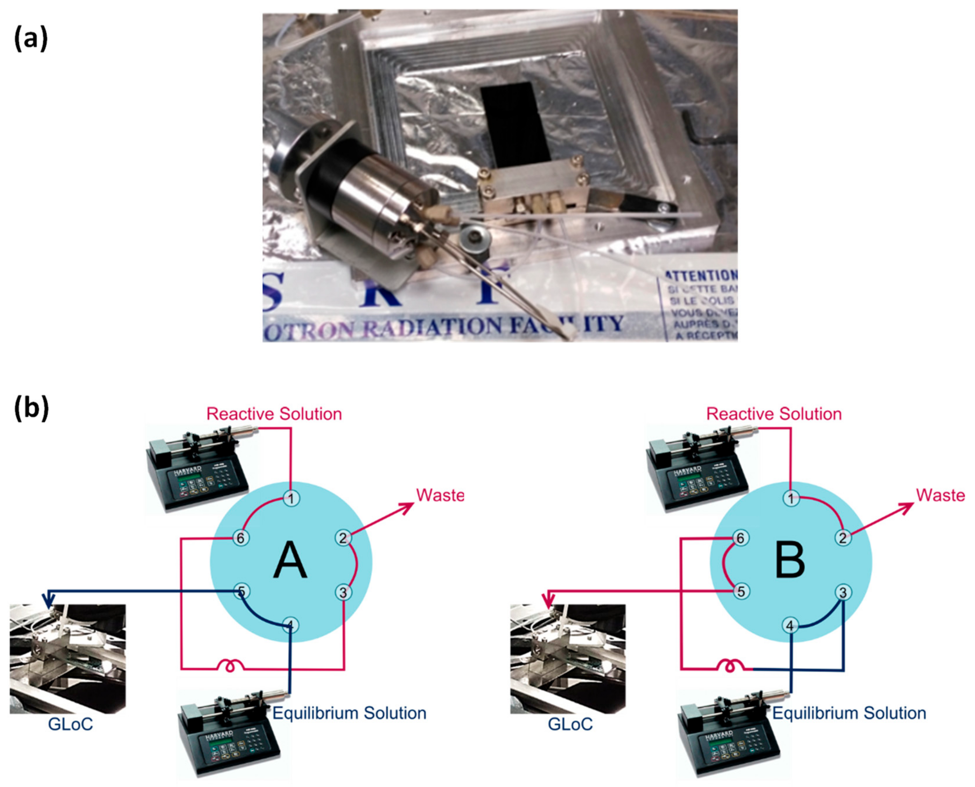 Processes 11 01981 g003
