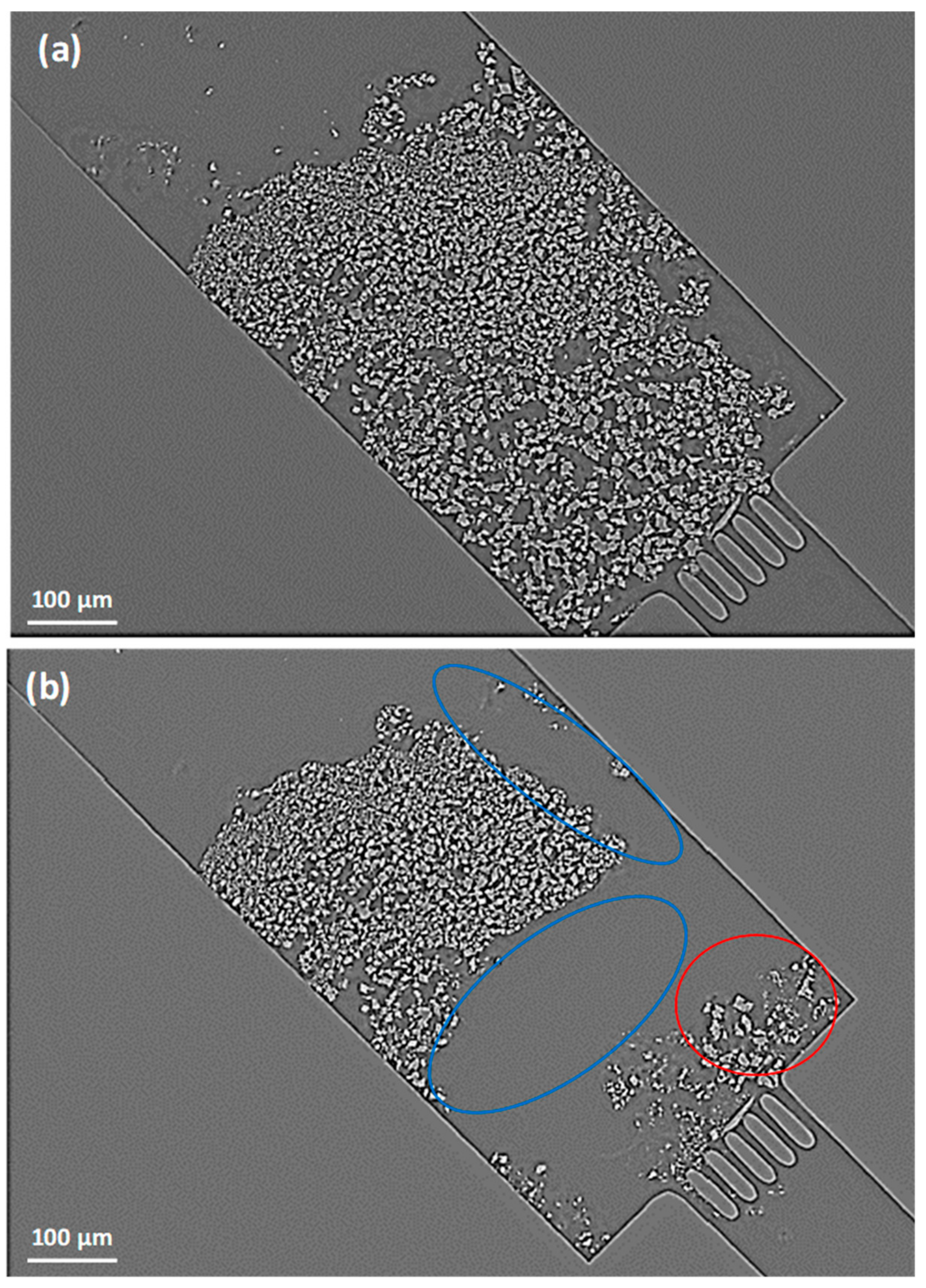 Processes 11 01981 g005