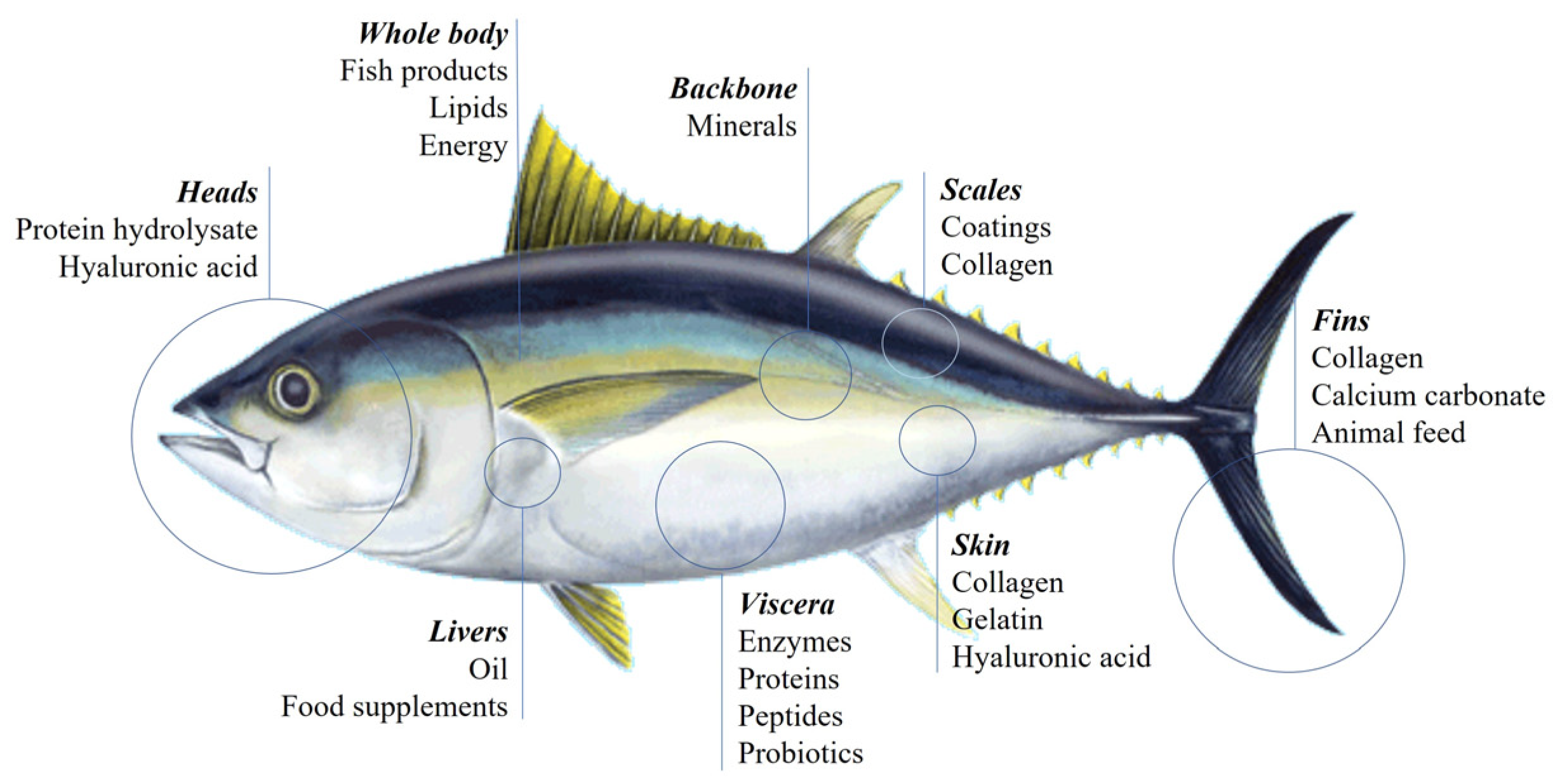 Processes 11 01998 g001 Processes 11 01998 g001