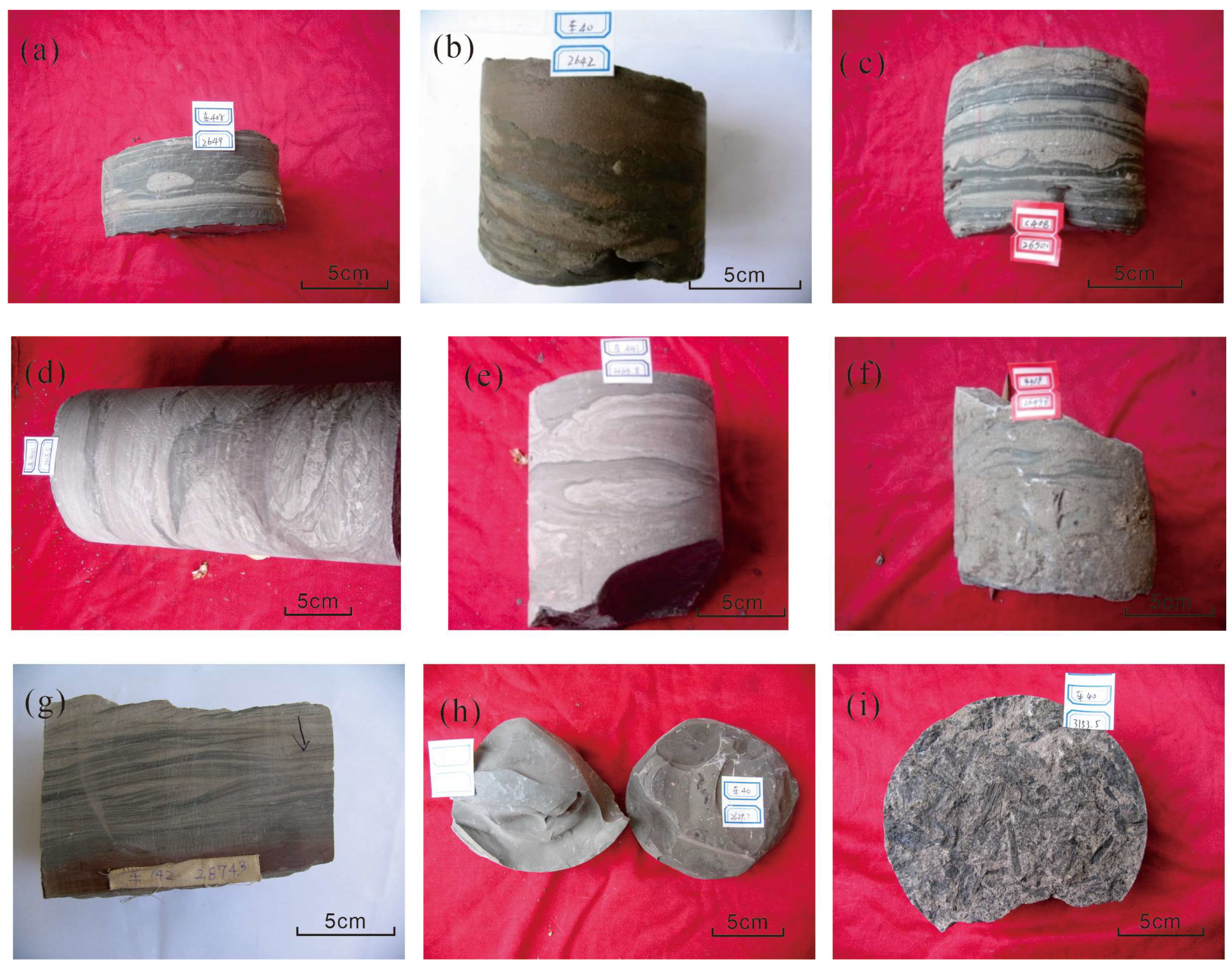 Processes 11 02001 g002