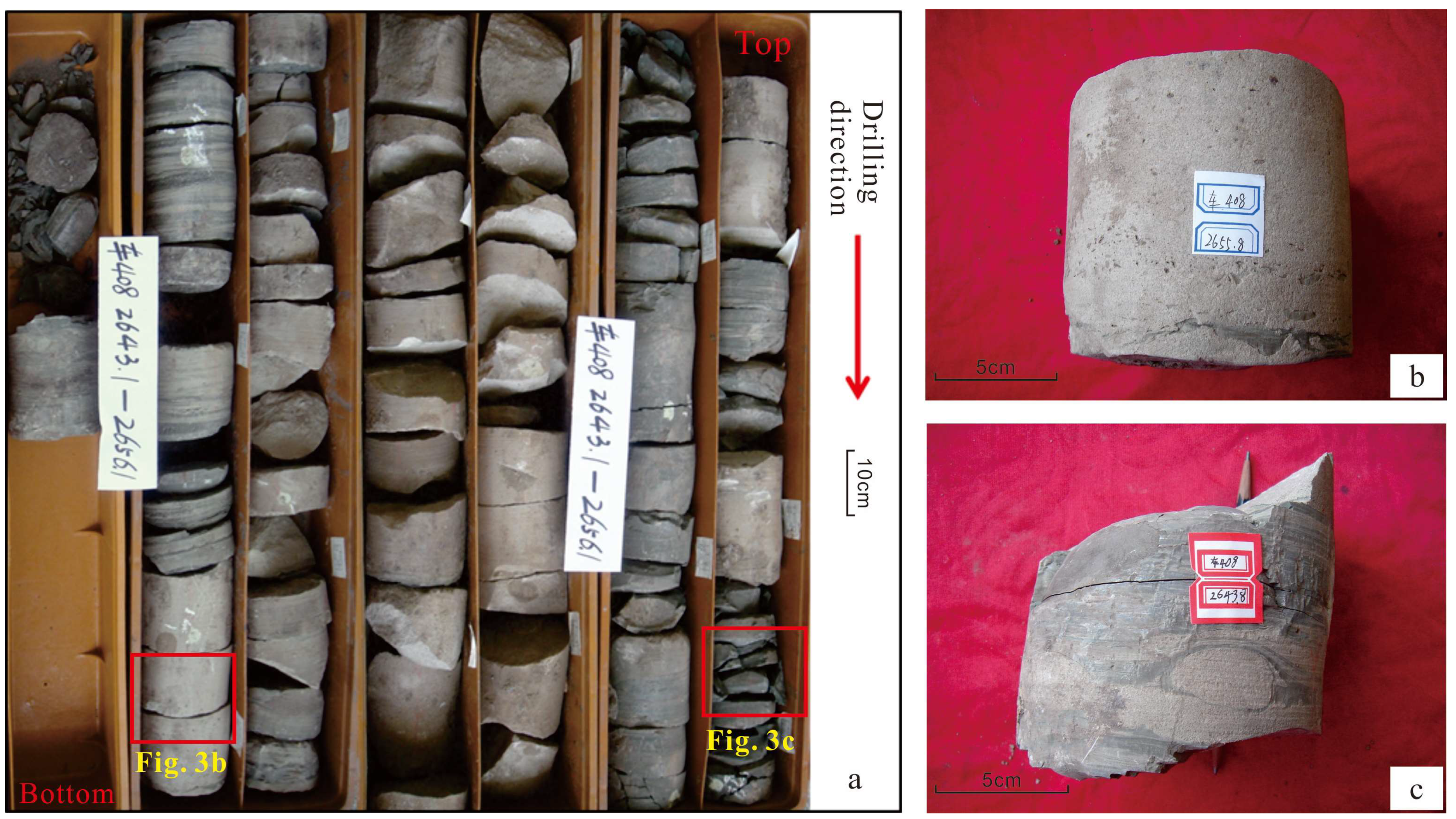 Processes 11 02001 g003