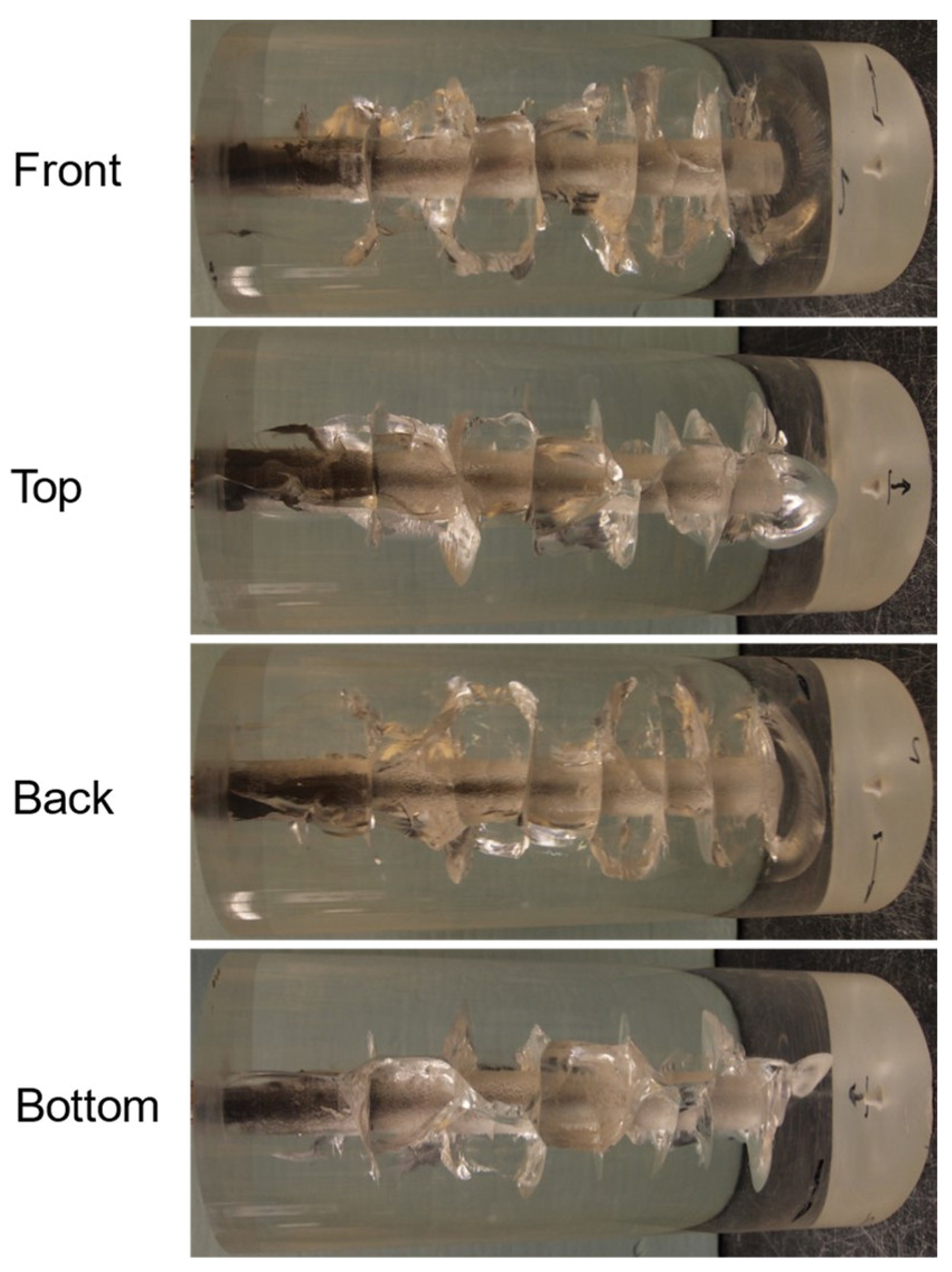 Processes 11 02028 g006