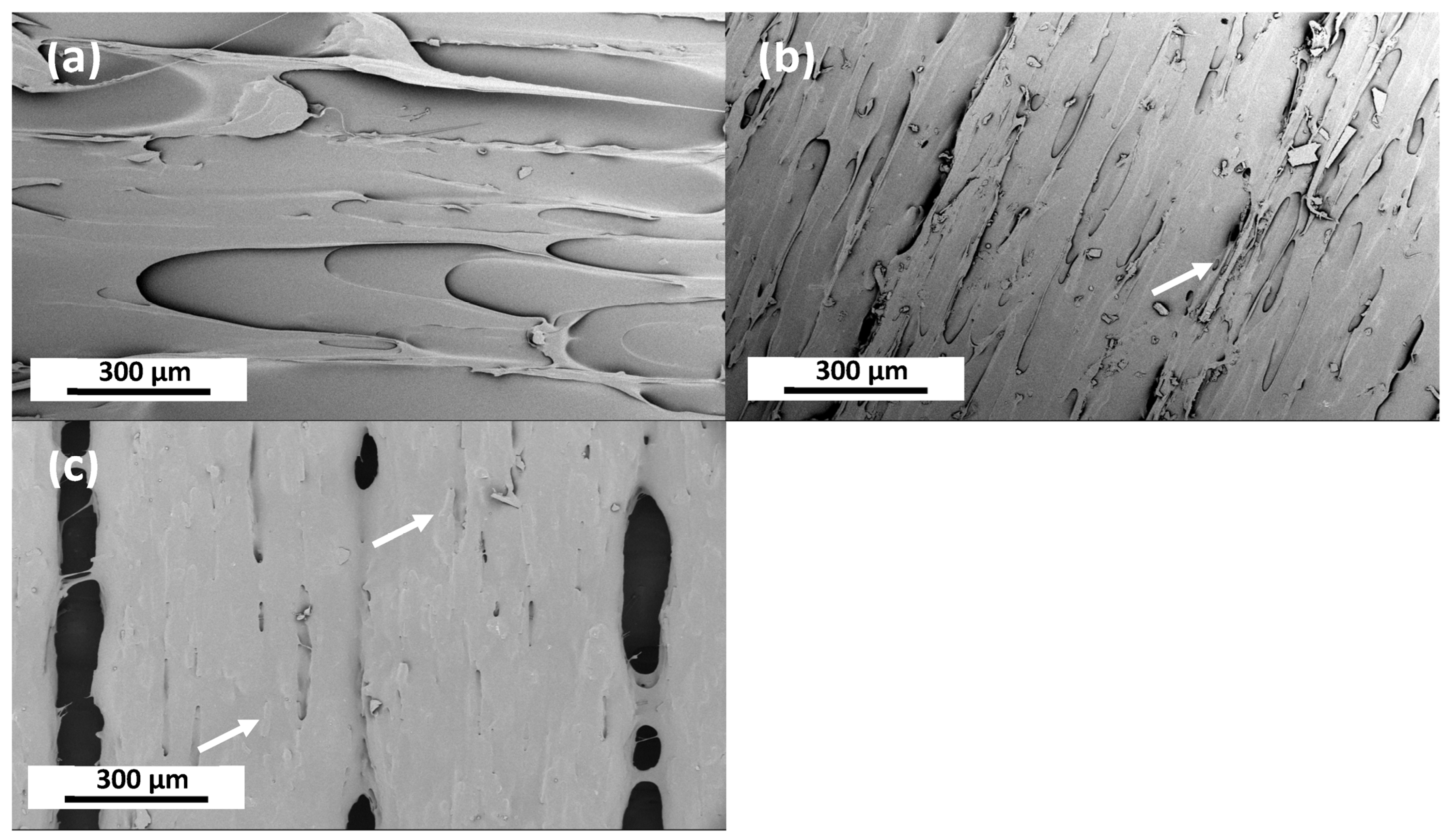 Processes 11 02053 g009 Processes 11 02053 g009