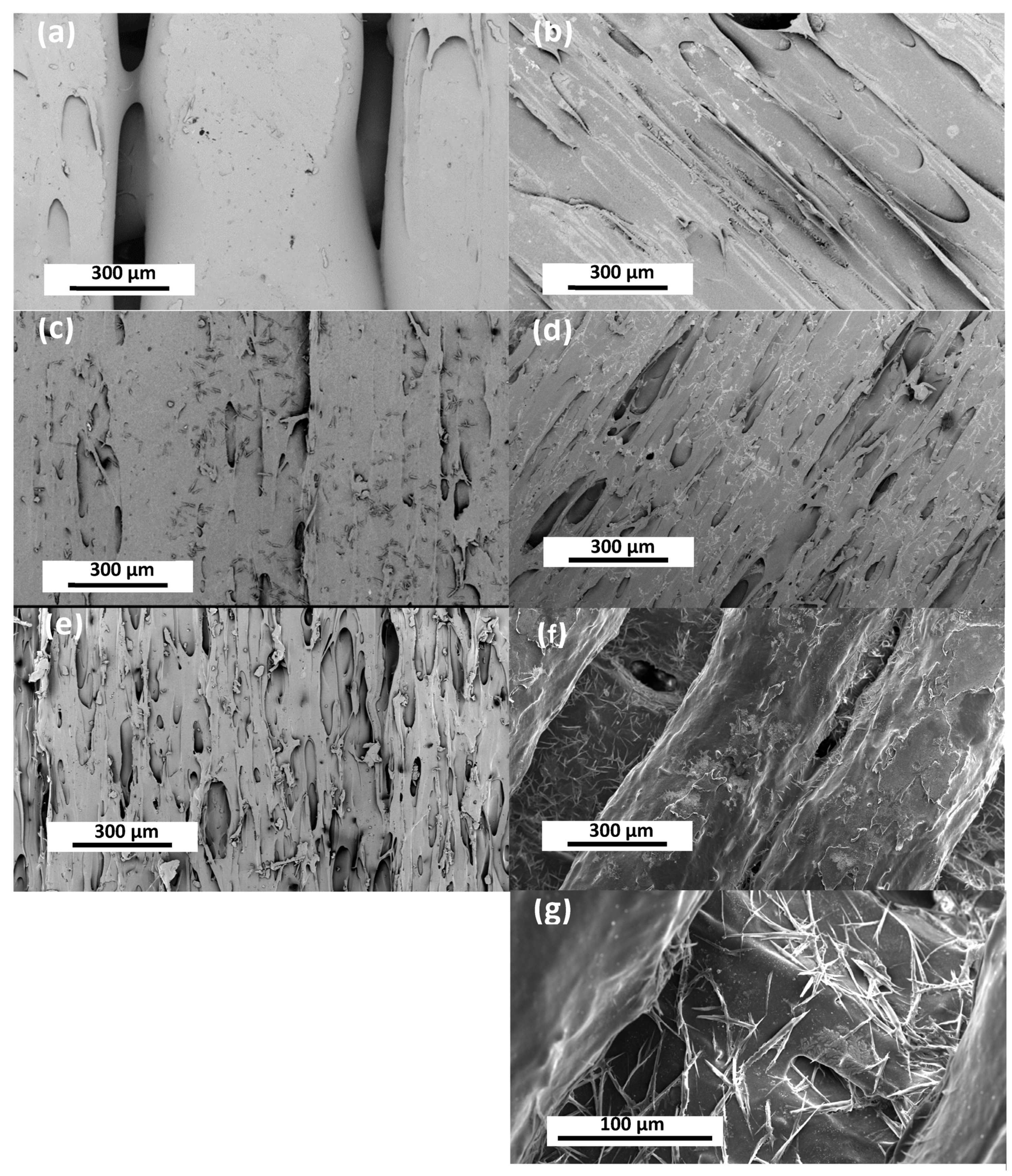 Processes 11 02053 g011 Processes 11 02053 g011
