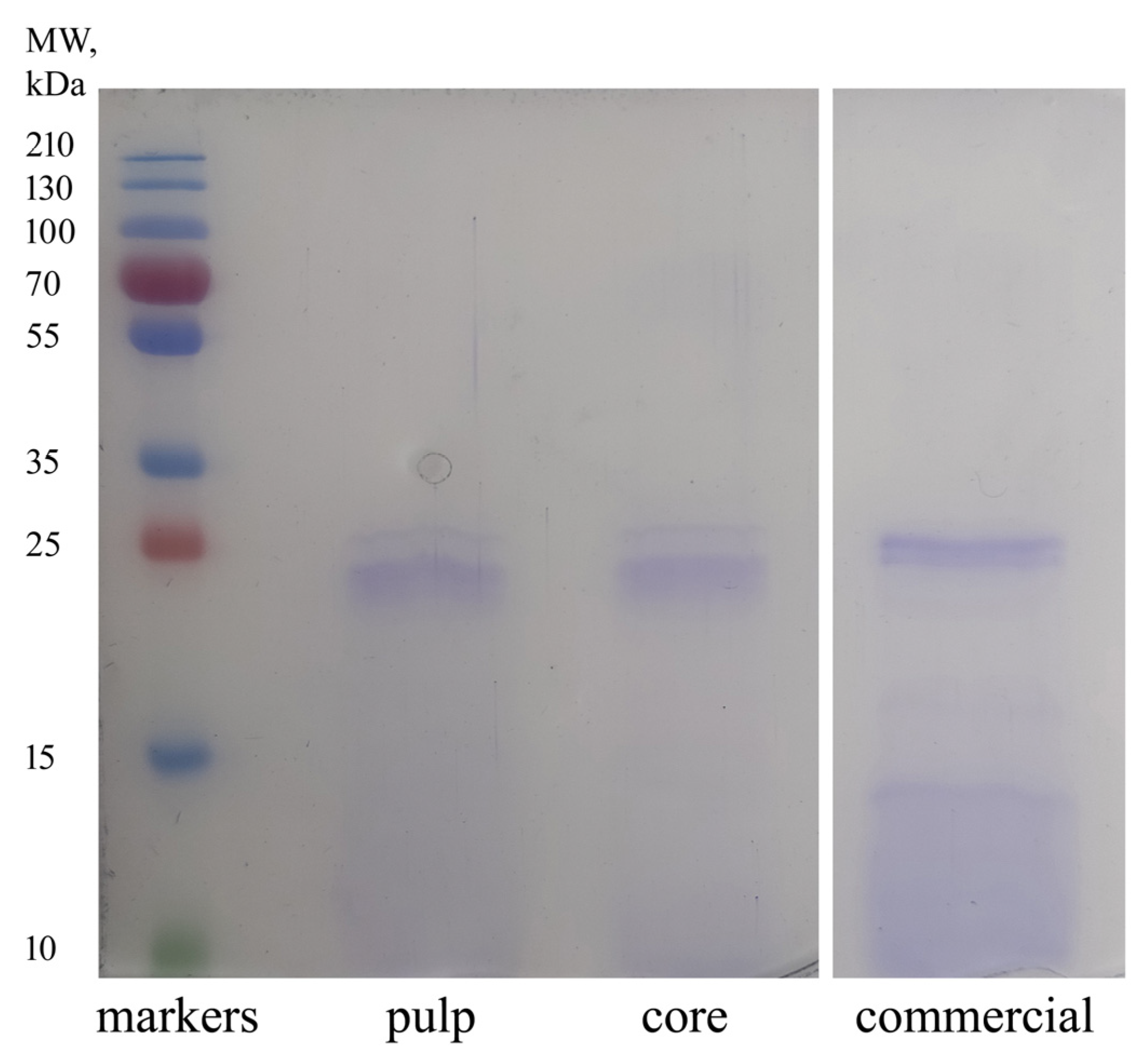 Processes 11 02064 g002