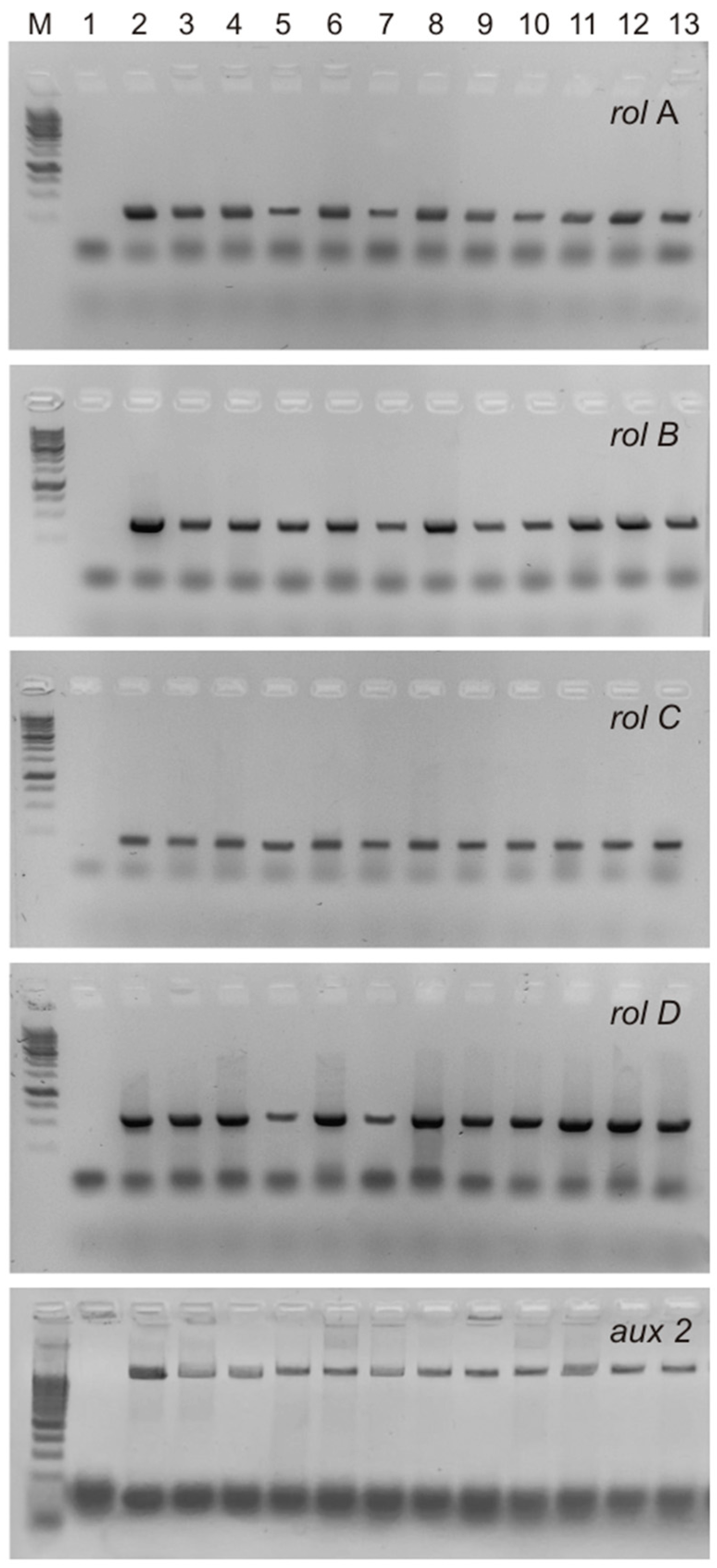 Processes 11 02102 g002 Processes 11 02102 g002