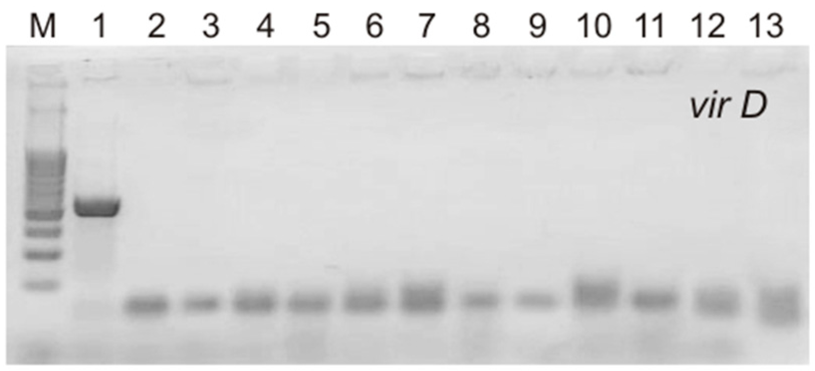 Processes 11 02102 g003 Processes 11 02102 g003