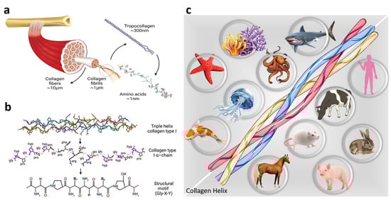 Processes 11 02105 g003