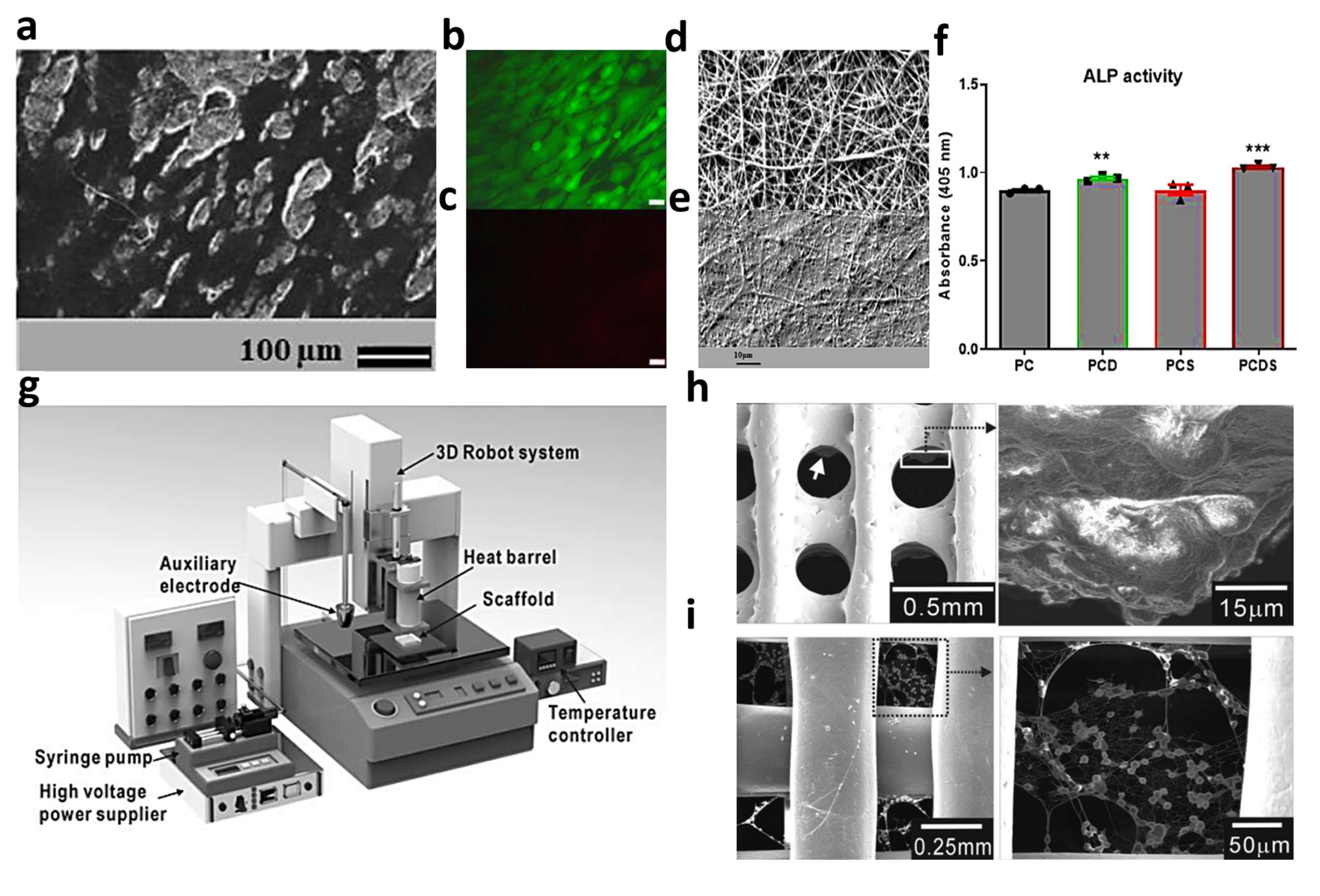 Processes 11 02105 g005