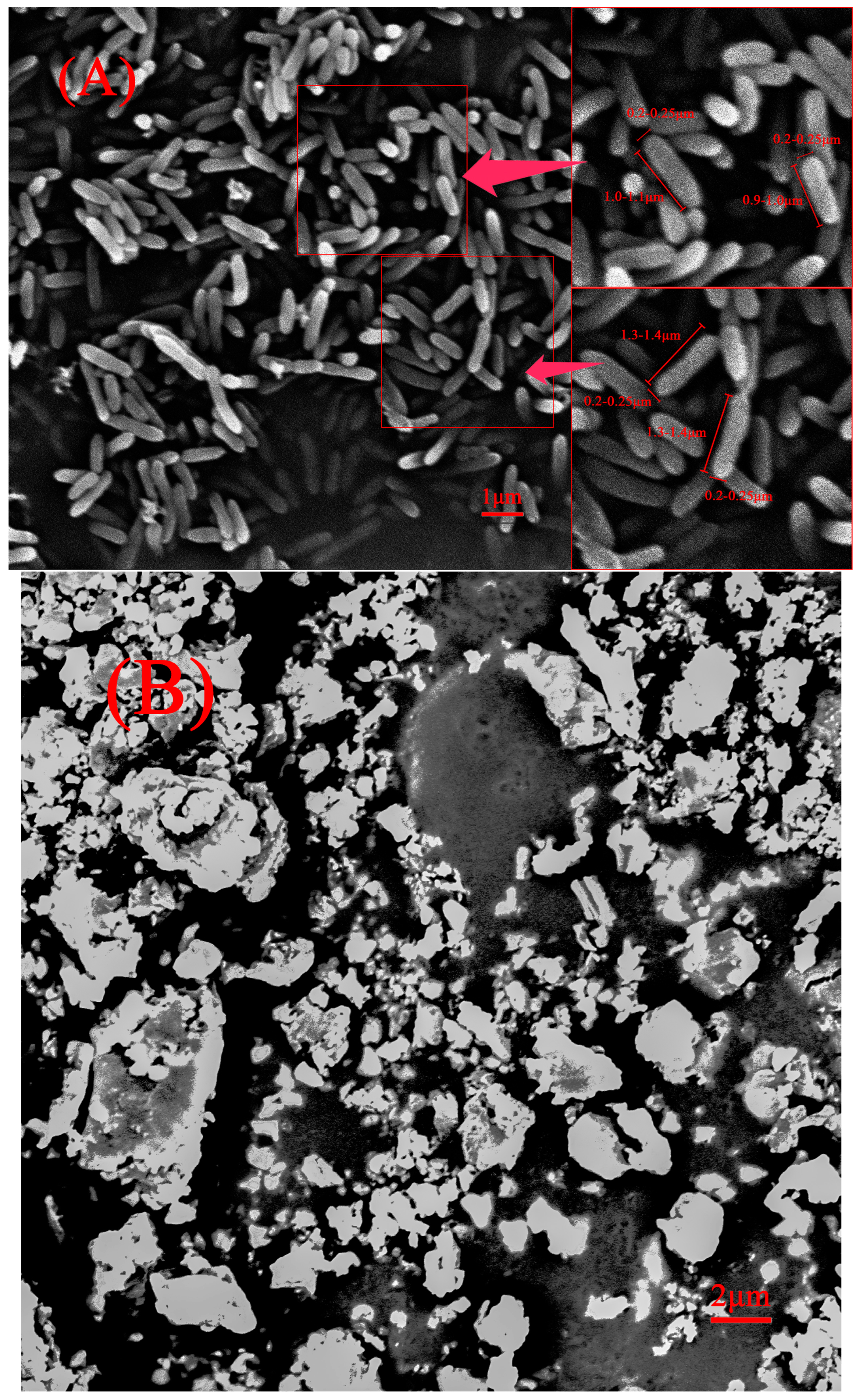Processes 11 02163 g006a