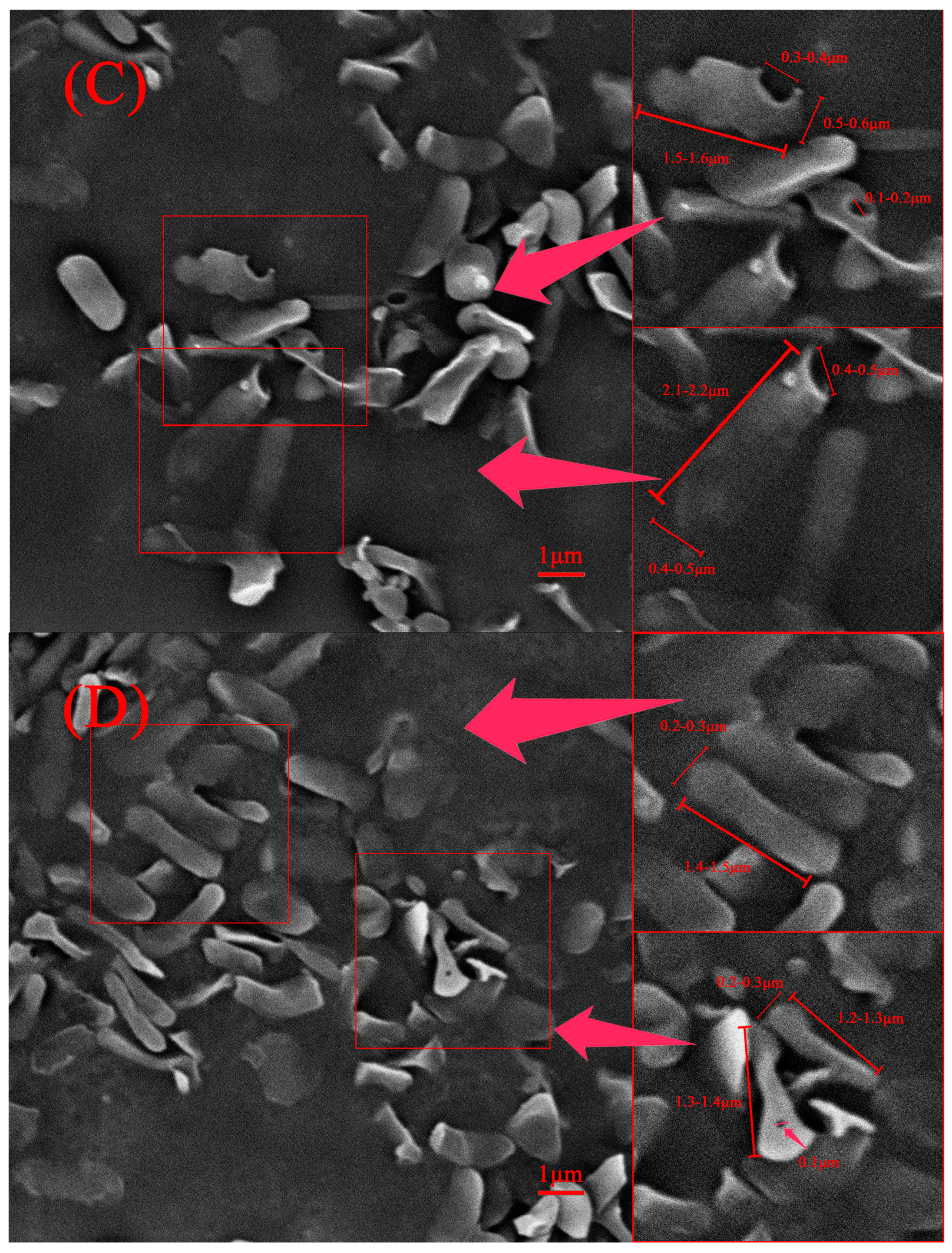 Processes 11 02163 g006b