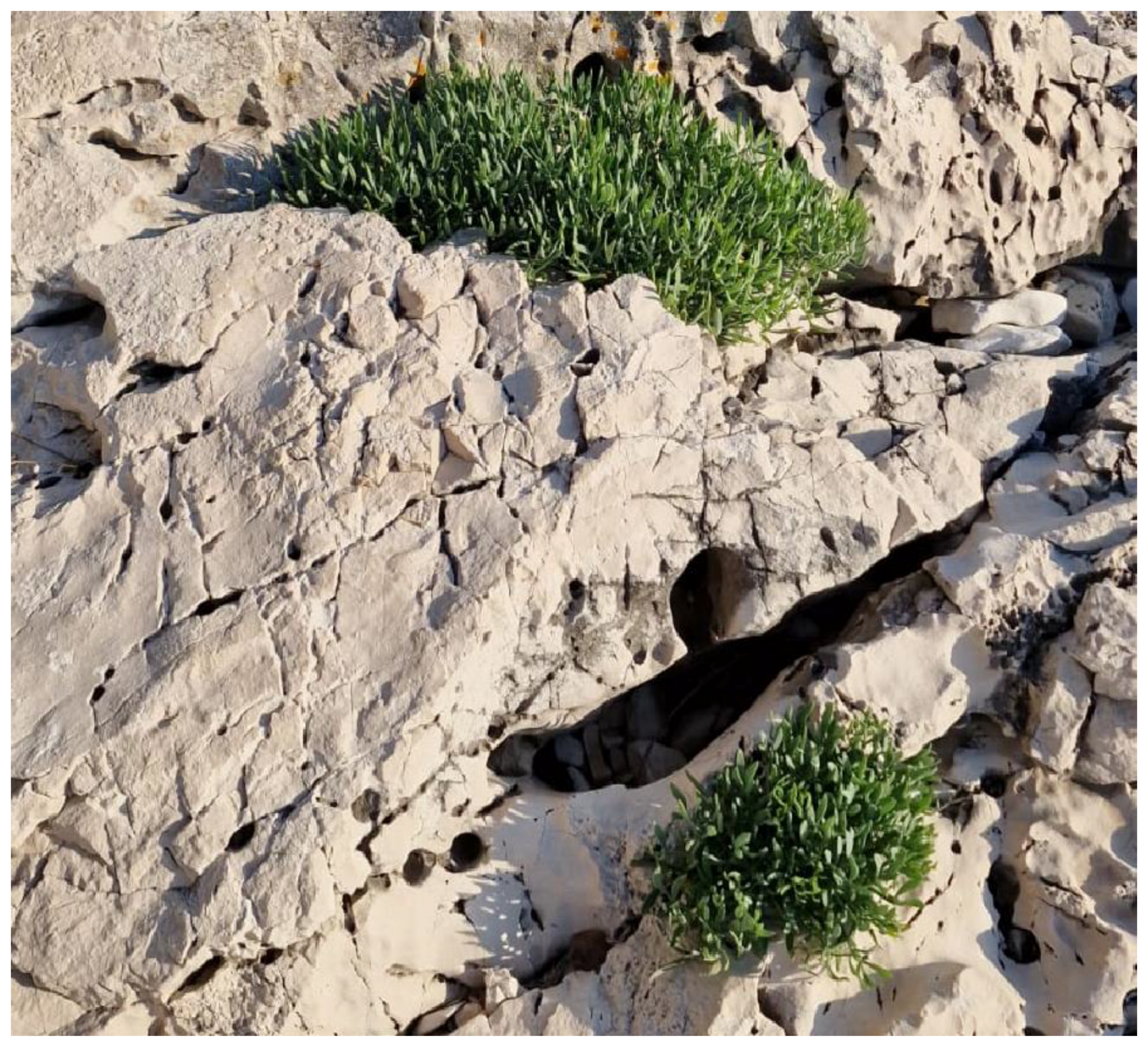 Processes 11 02172 g001