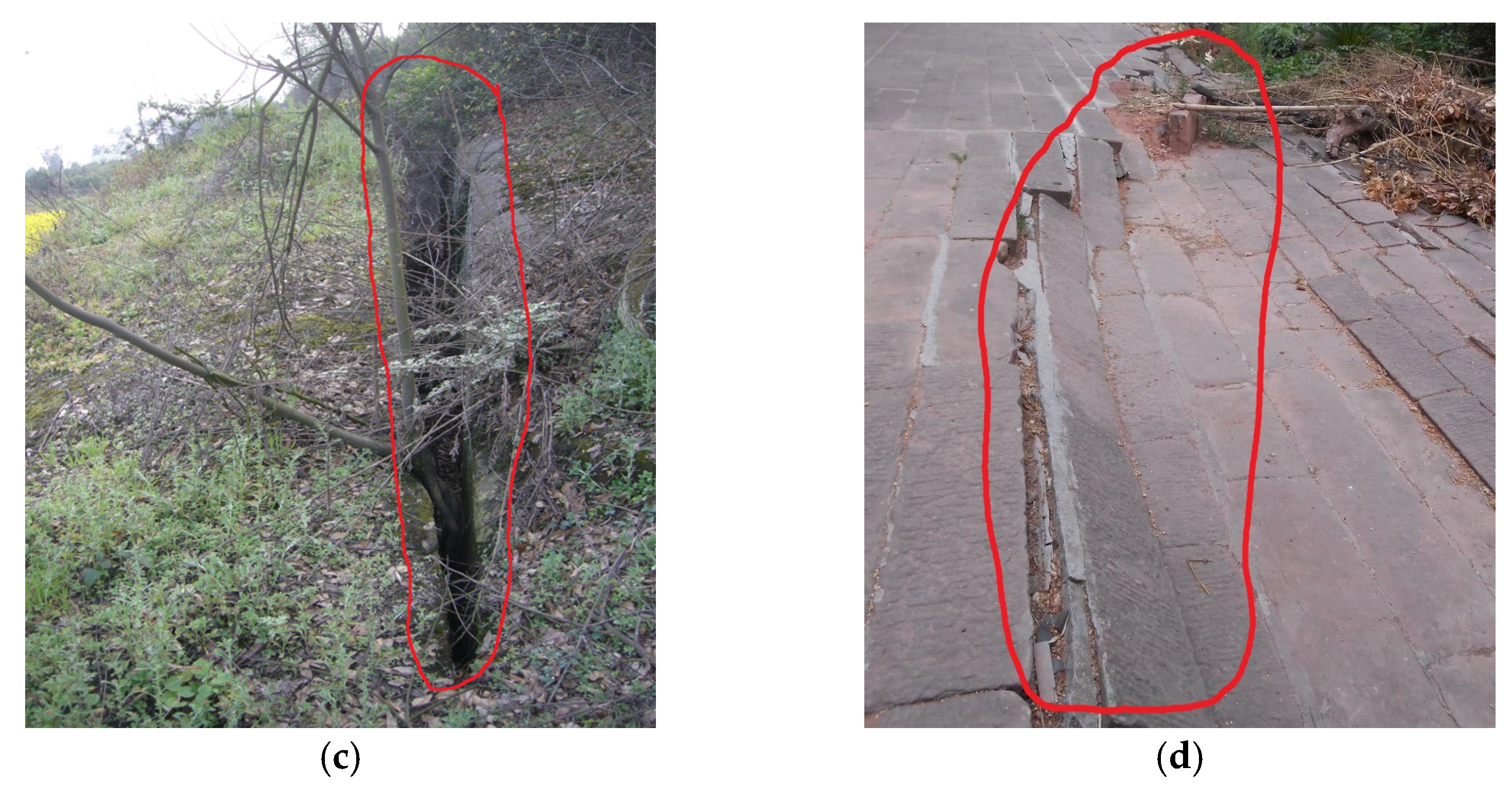 Processes 11 02178 g007b