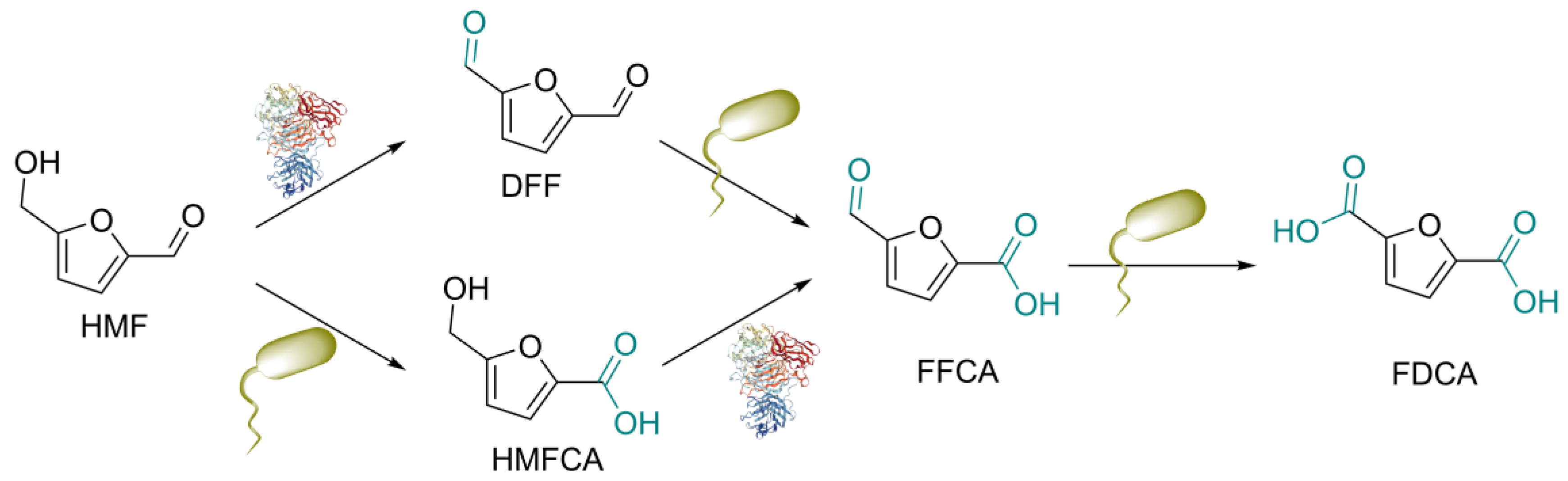 Processes 11 02261 sch001