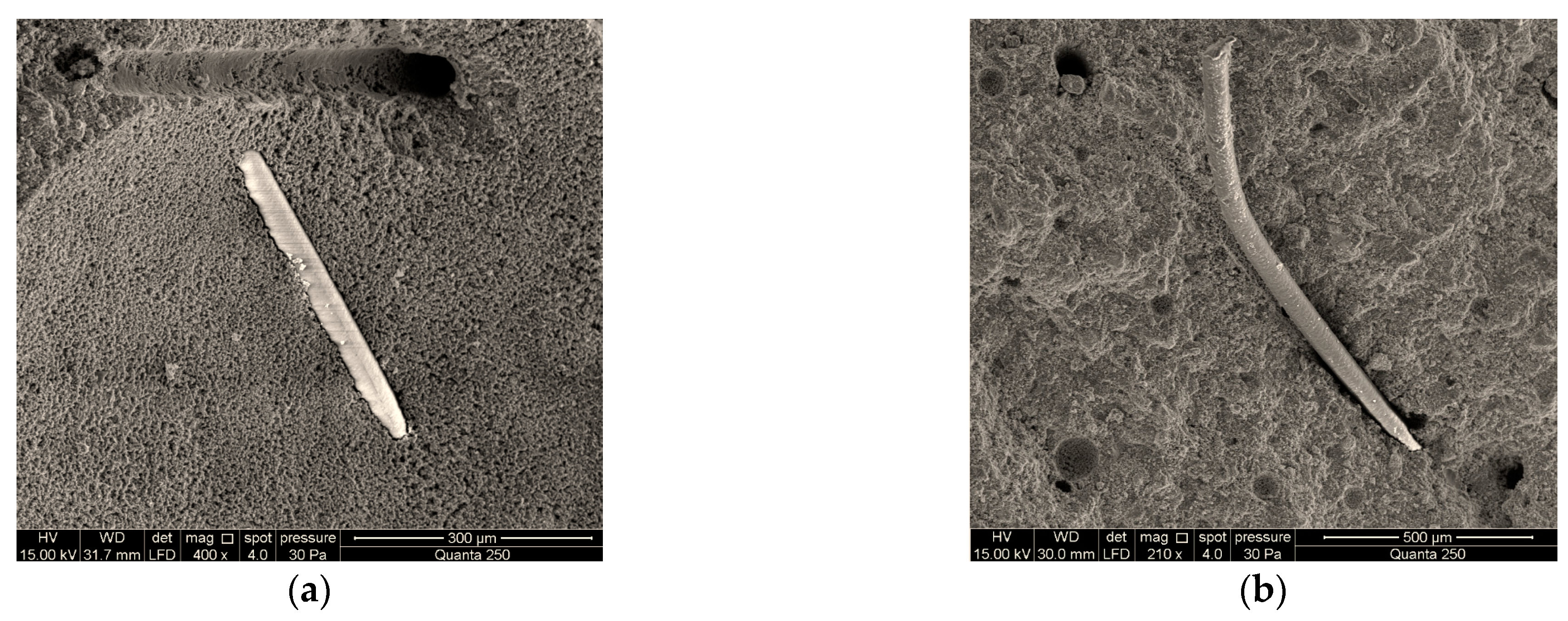Processes 11 02270 g003