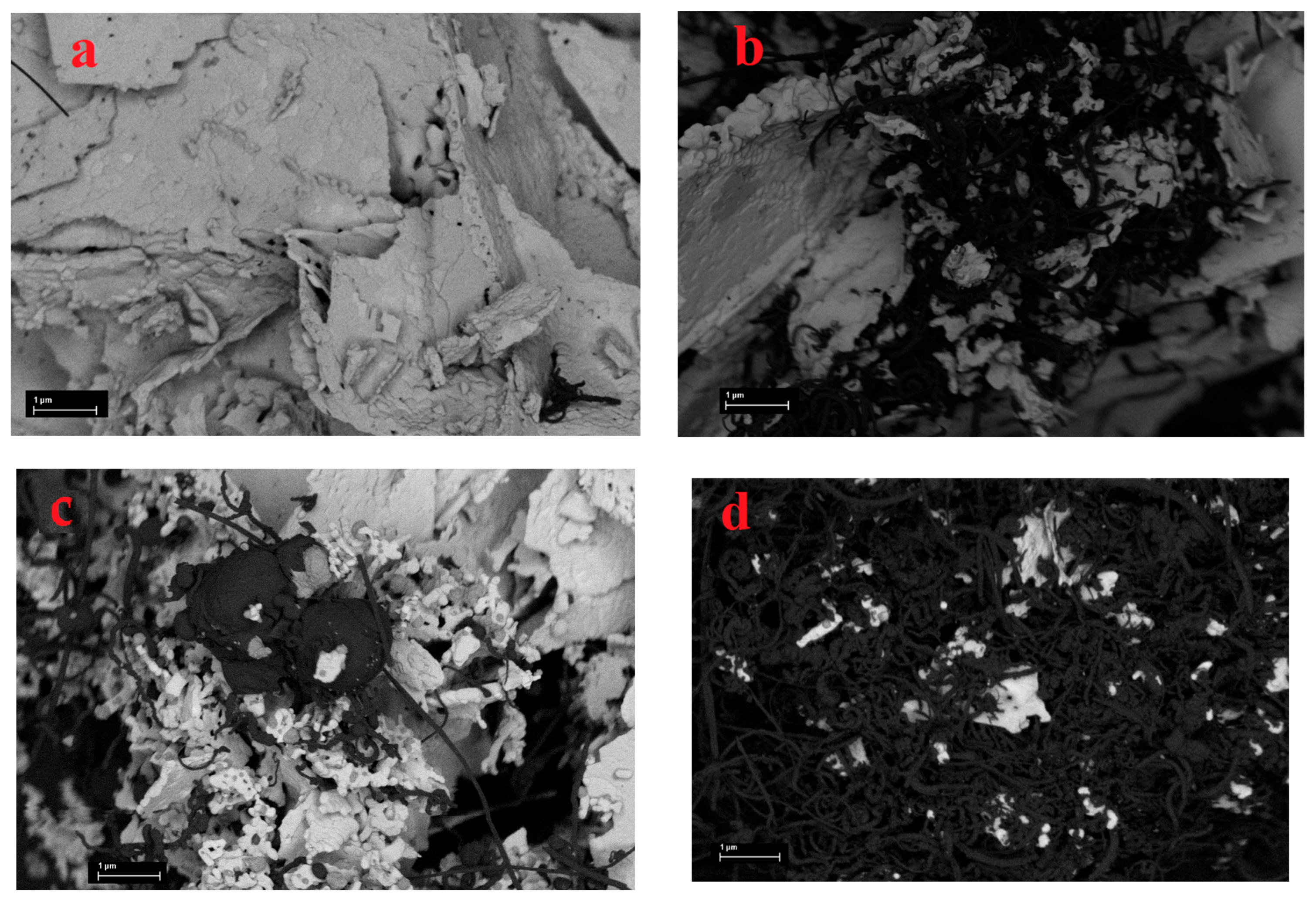 Processes 11 02296 g008