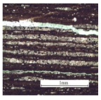 Processes 11 02302 i018