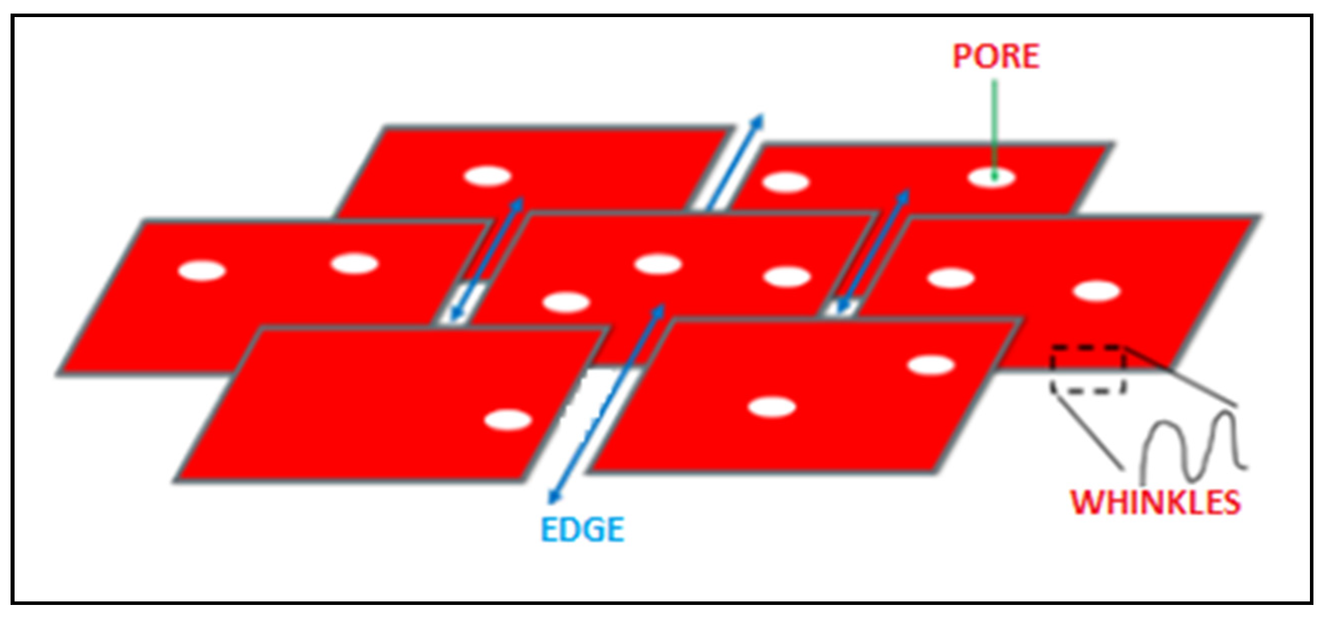 Processes 11 02307 g005