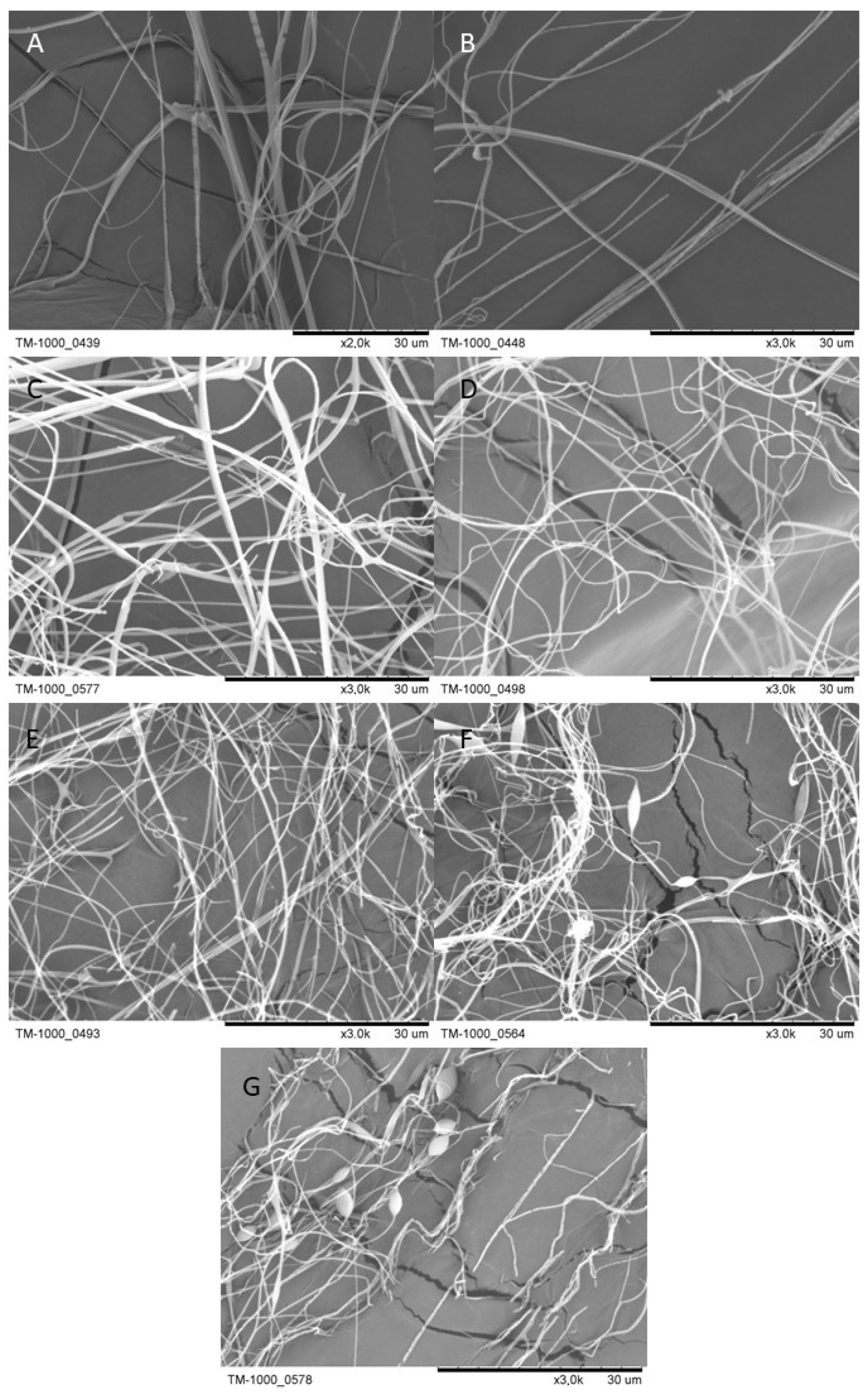 Processes 11 02310 g009