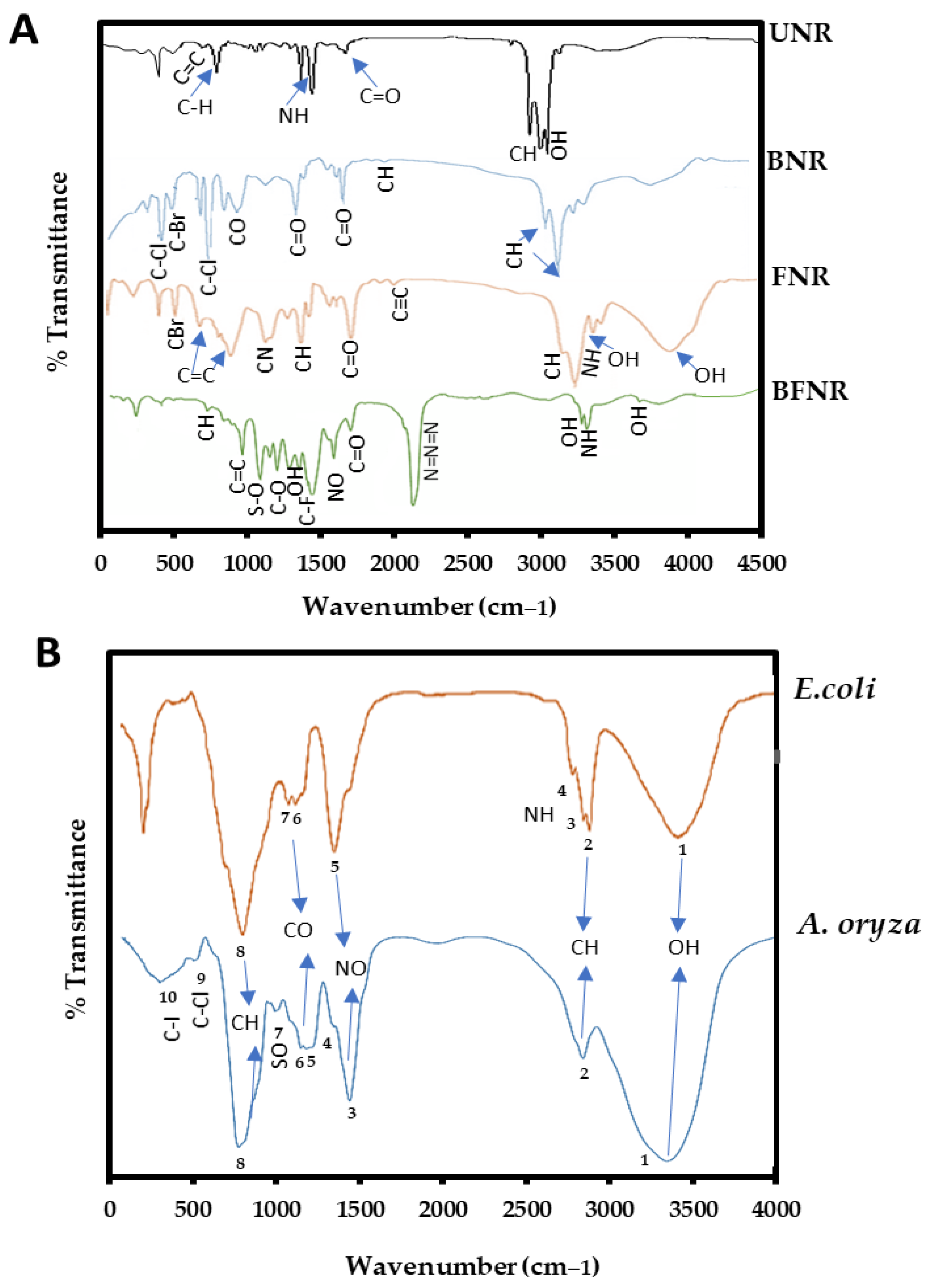 Processes 11 02350 g003 Processes 11 02350 g003