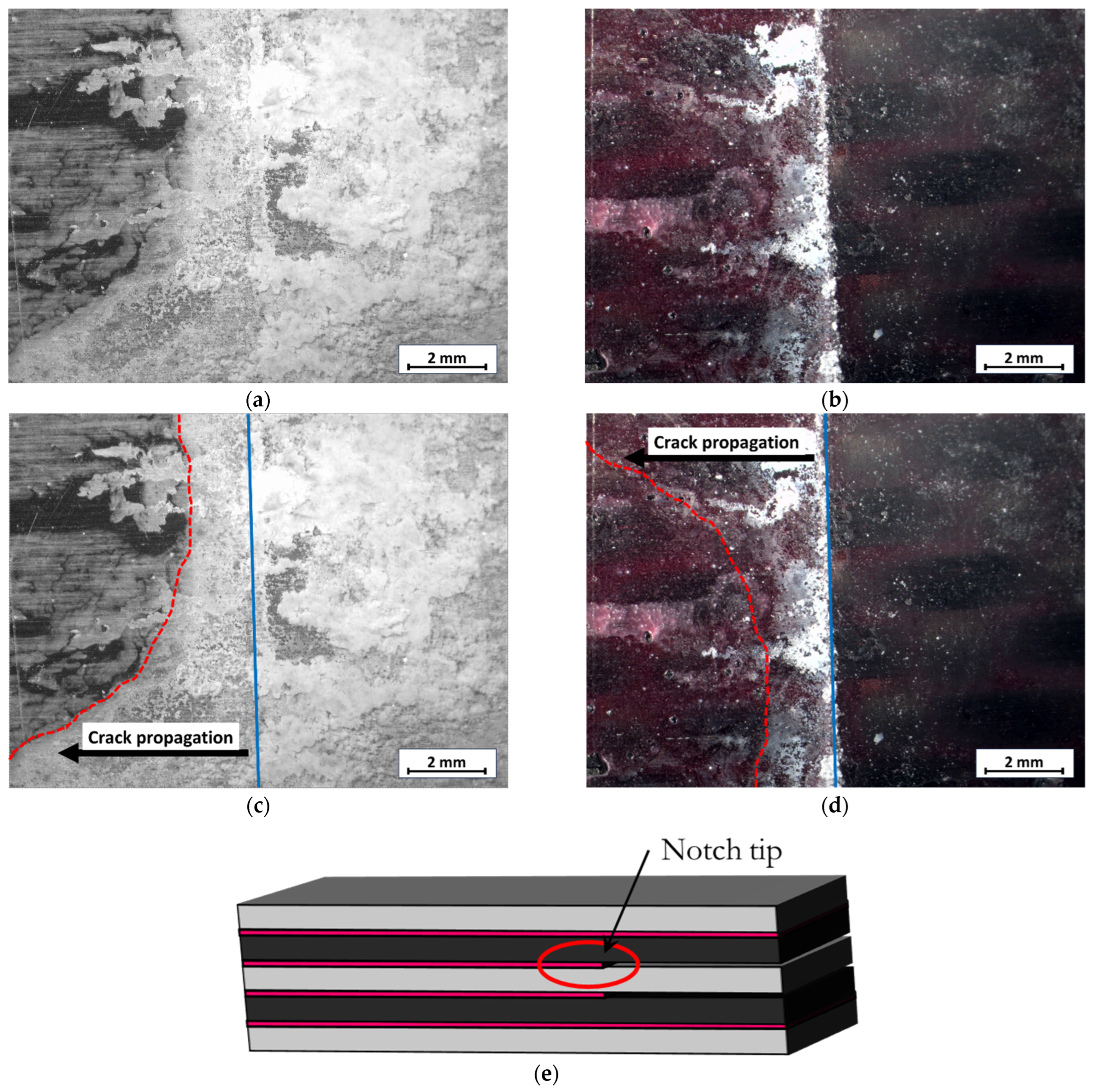 Processes 11 02413 g010