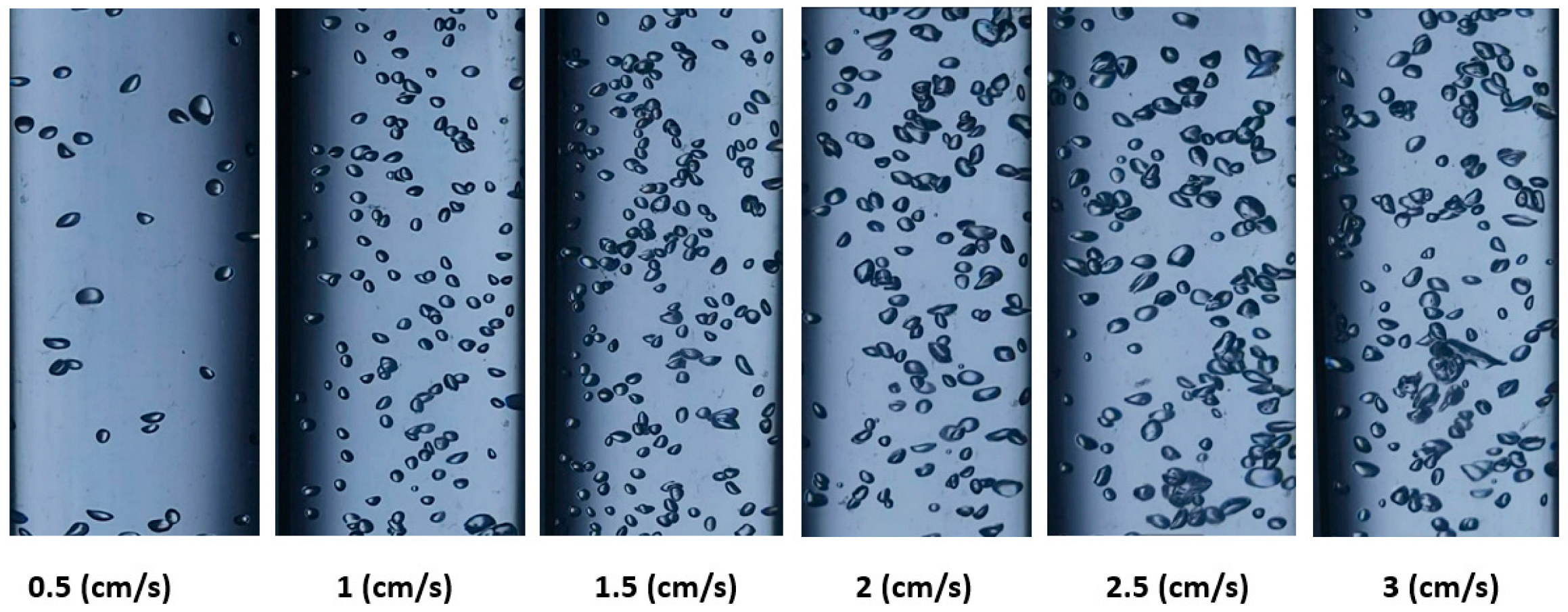 Processes 11 02416 g005