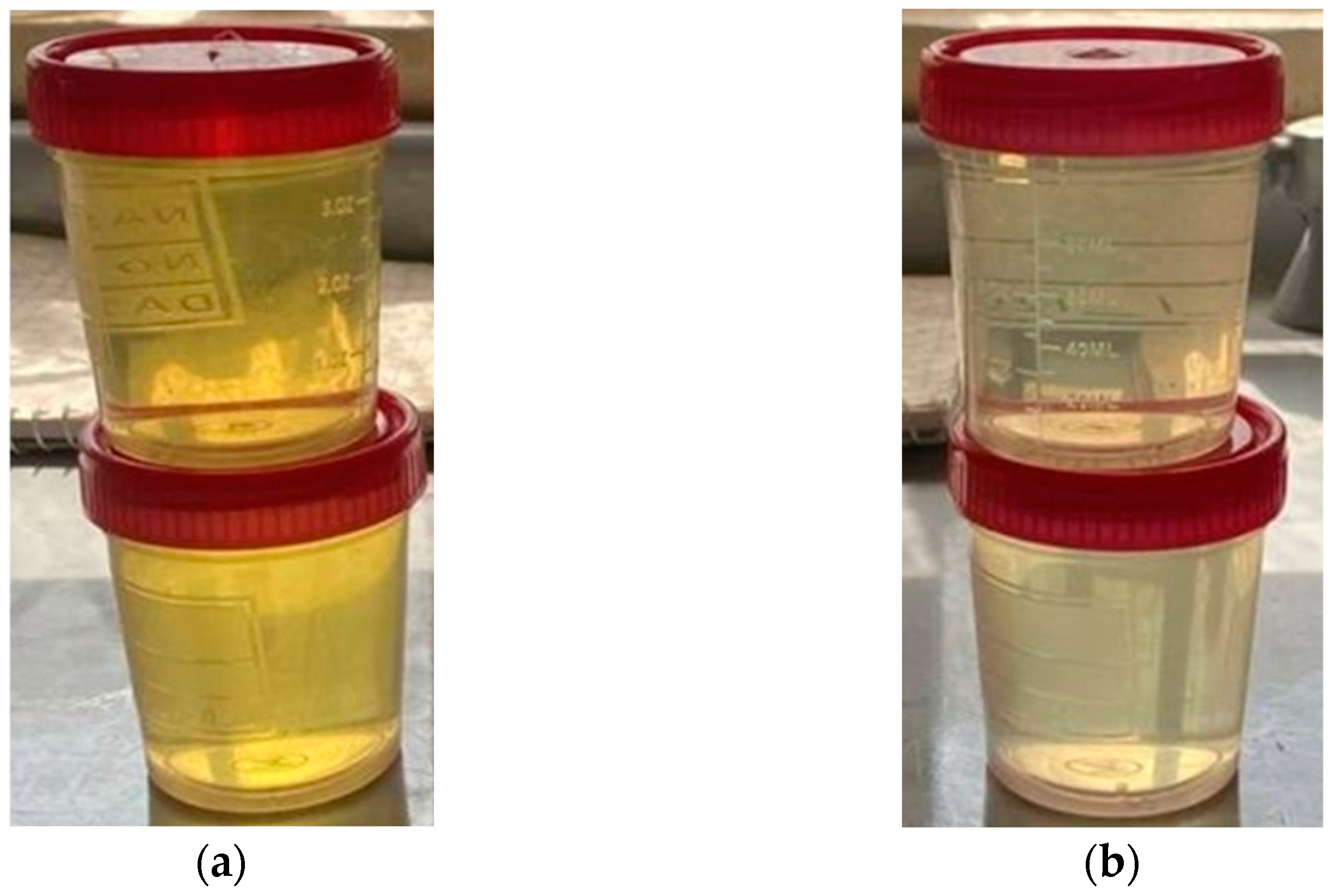 Processes 11 02416 g013