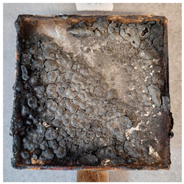 Processes 11 02421 i008