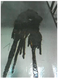 Processes 11 02421 i012