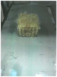 Processes 11 02421 i015