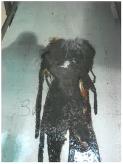 Processes 11 02421 i016