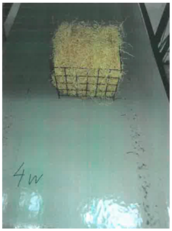 Processes 11 02421 i017