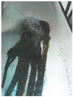 Processes 11 02421 i018