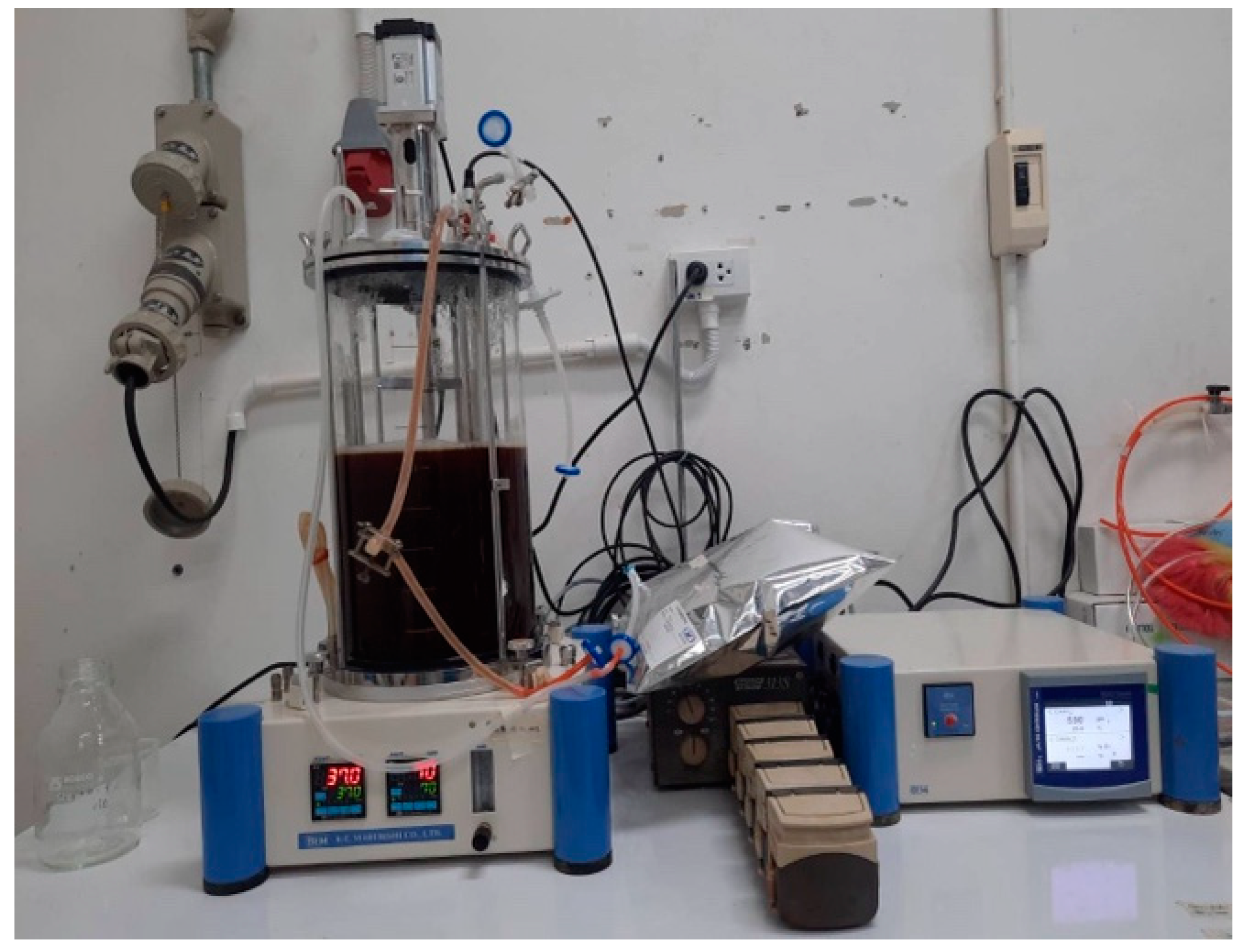 Processes 11 02425 g001